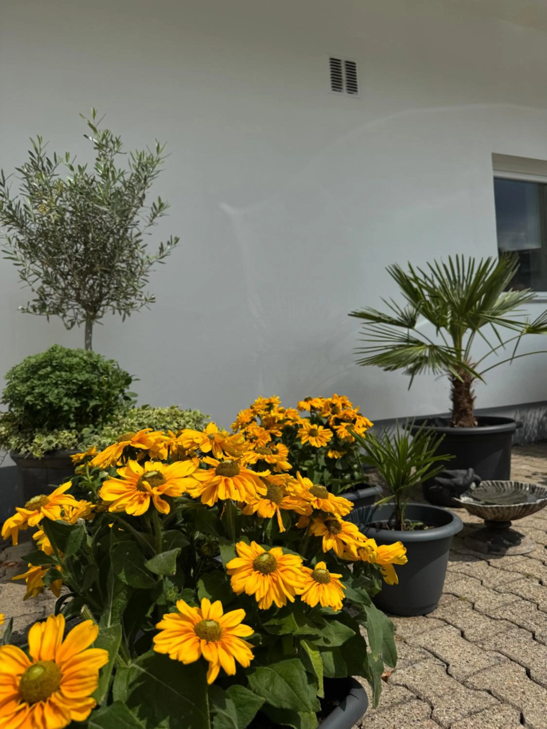 Garden in Hotel zur Post