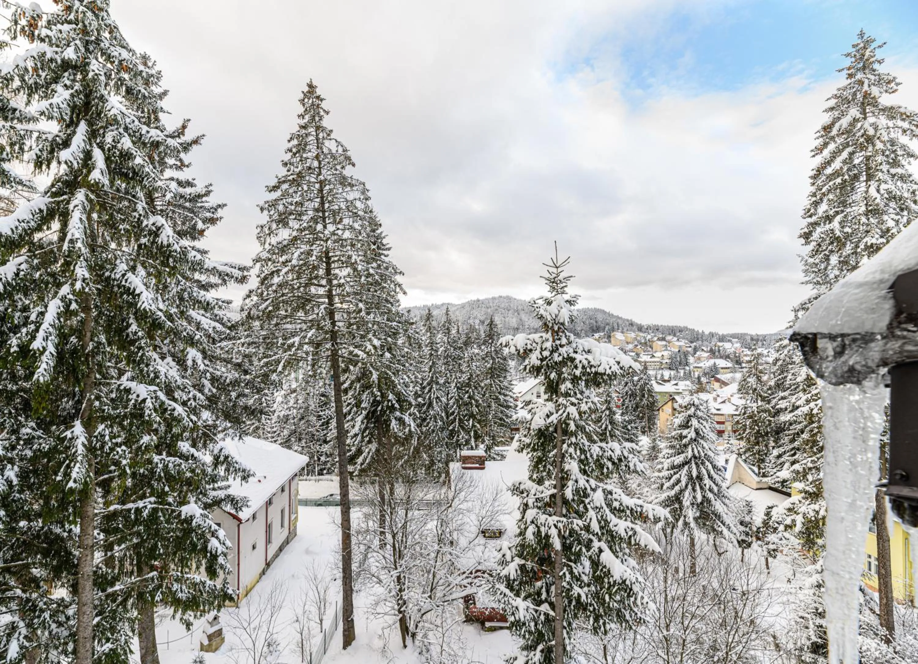 View (from property/room) in Pensiunea Hilltop