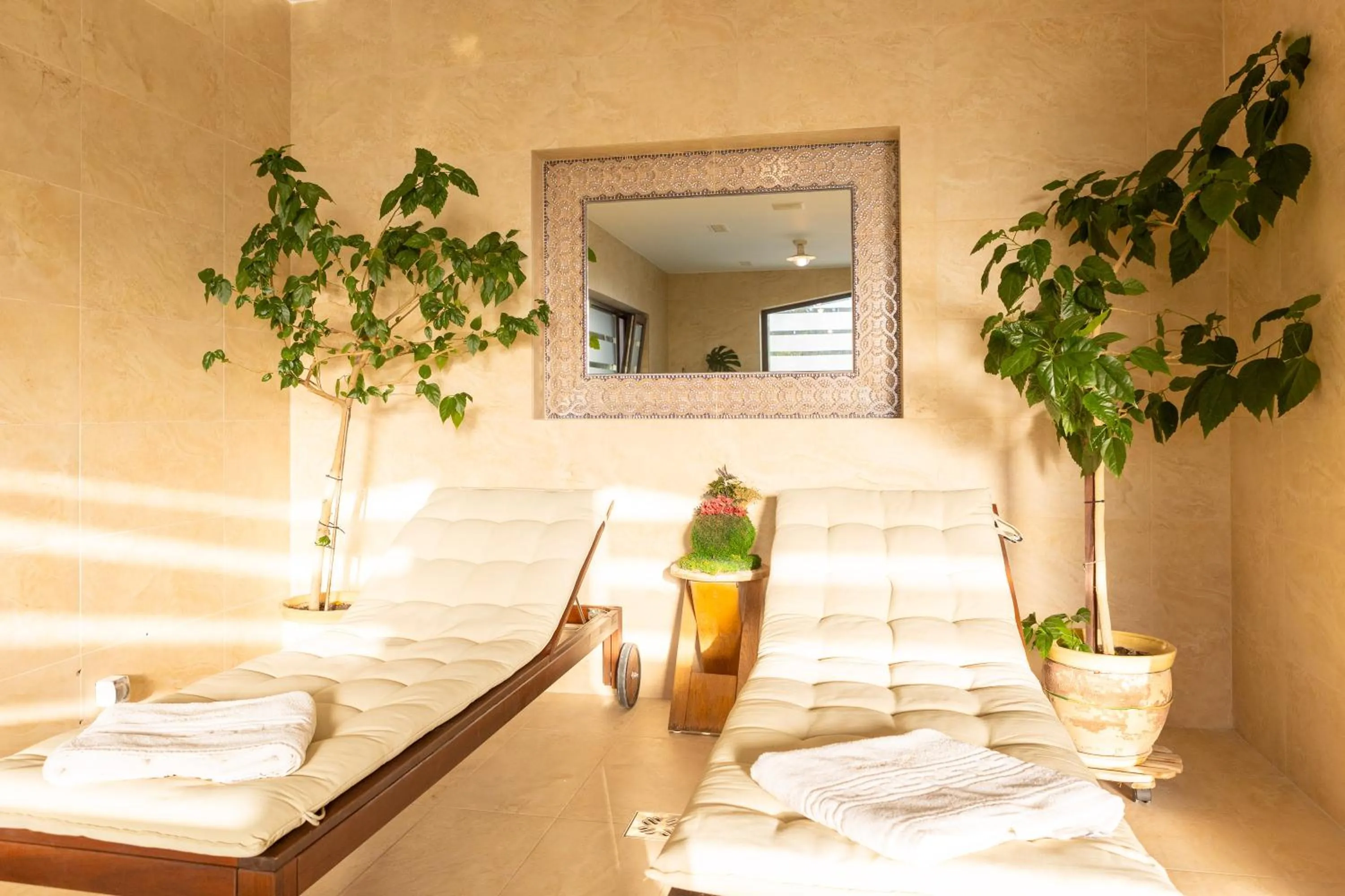 Spa and wellness centre/facilities in Pensiunea Hilltop