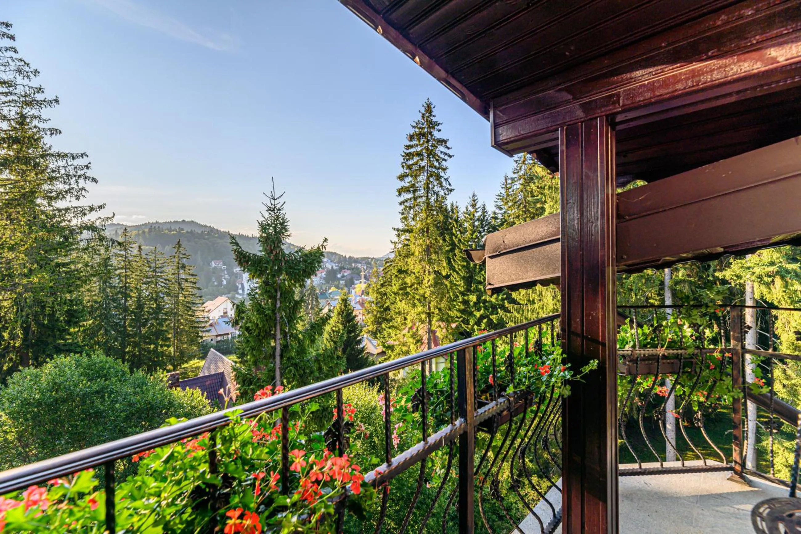 Balcony/Terrace in Pensiunea Hilltop
