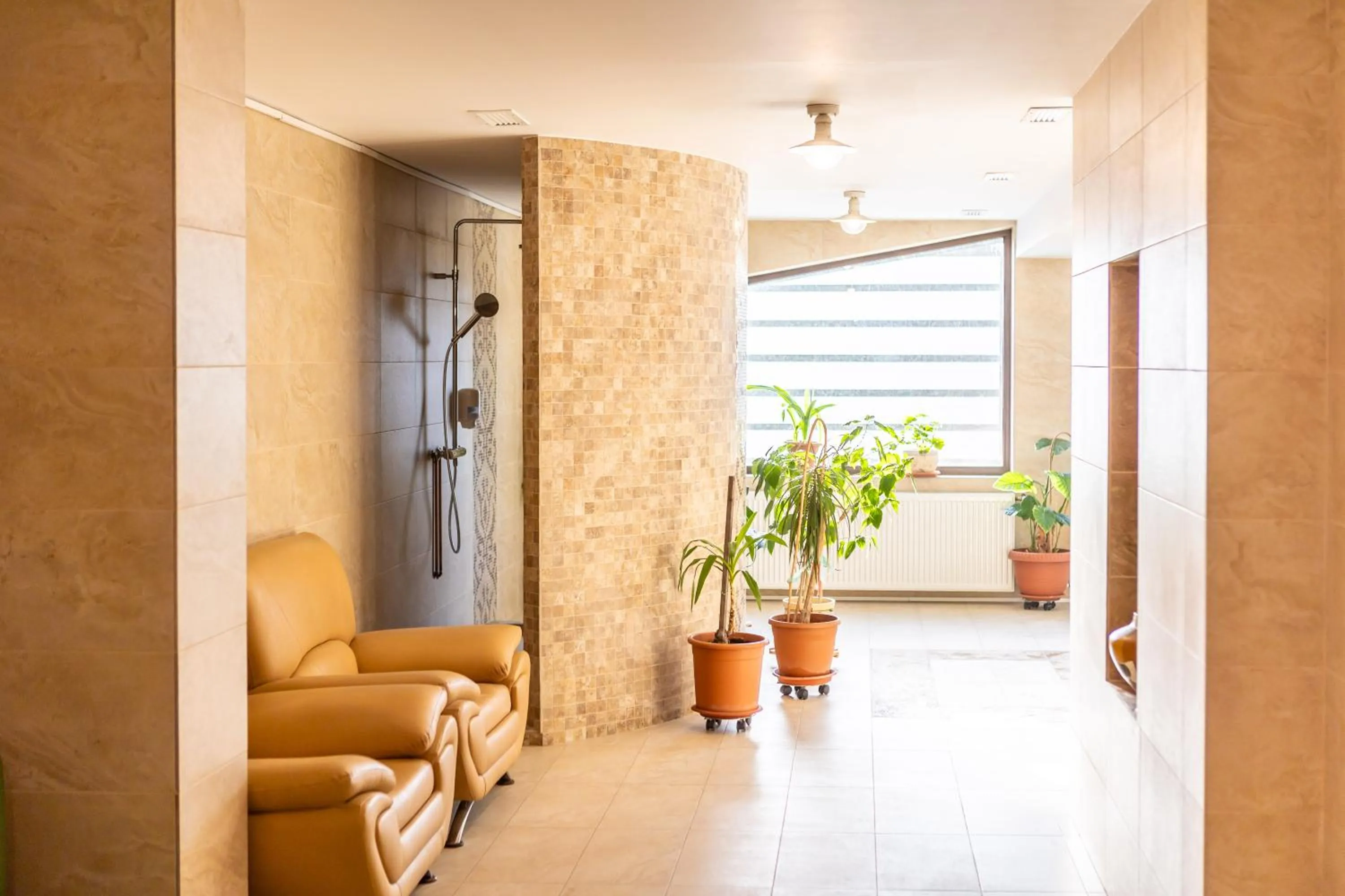 Spa and wellness centre/facilities in Pensiunea Hilltop