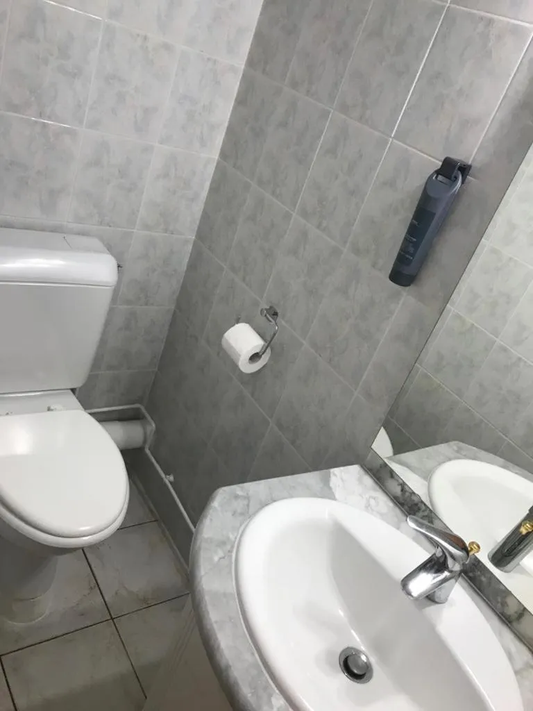 Toilet in Hotel de Normandie