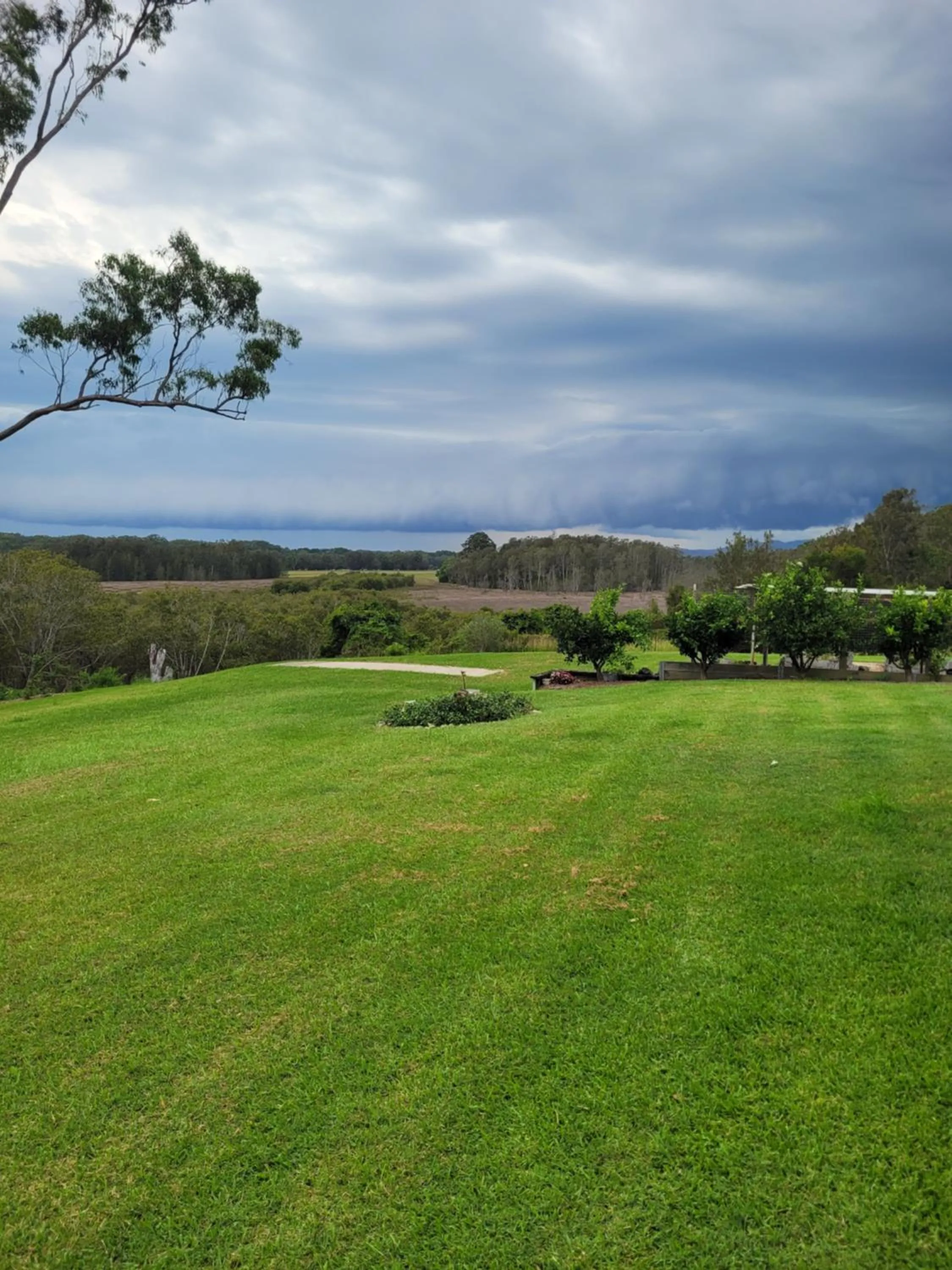 Natural landscape in Jabiru Motel