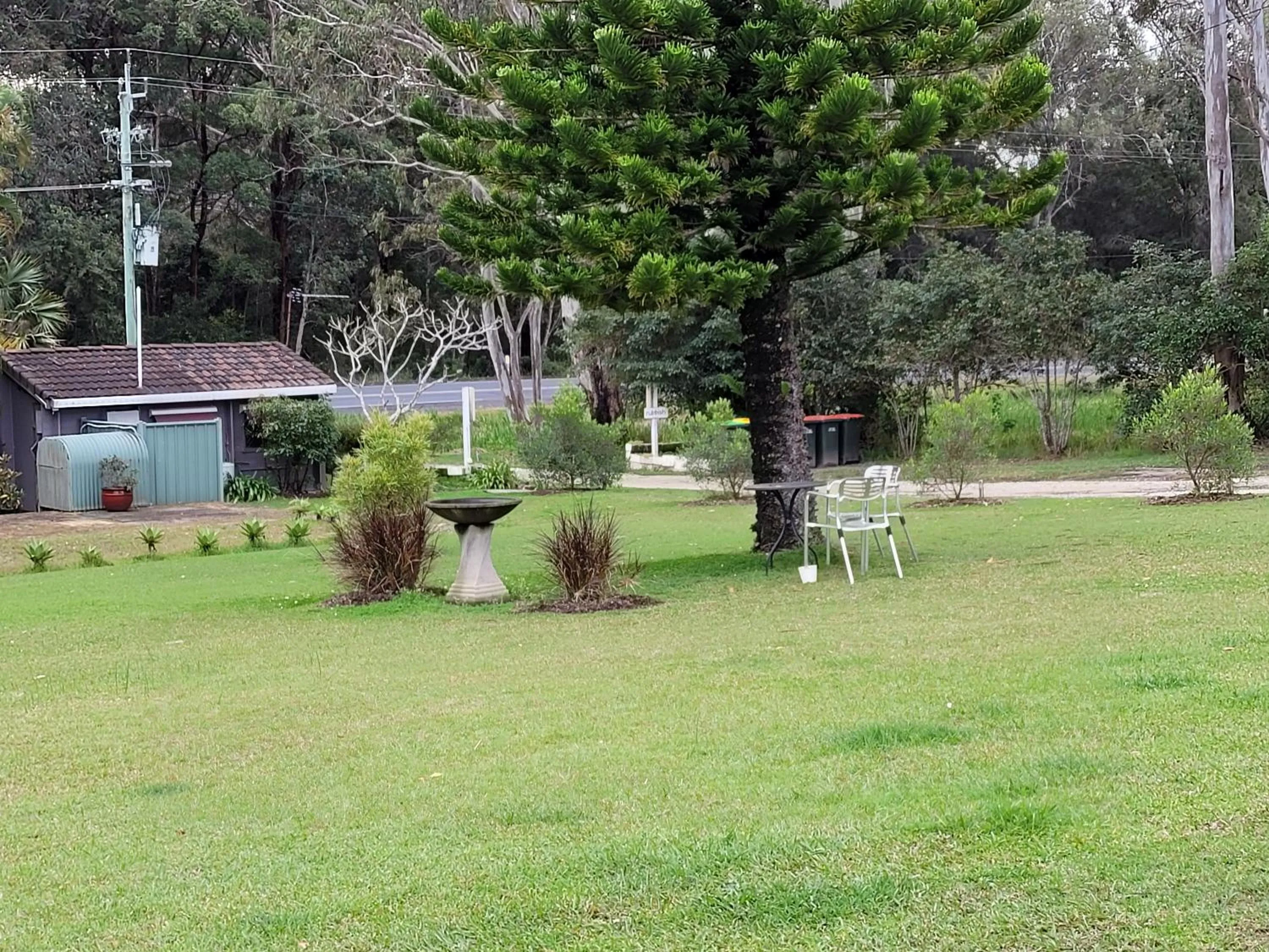 Garden view in Jabiru Motel