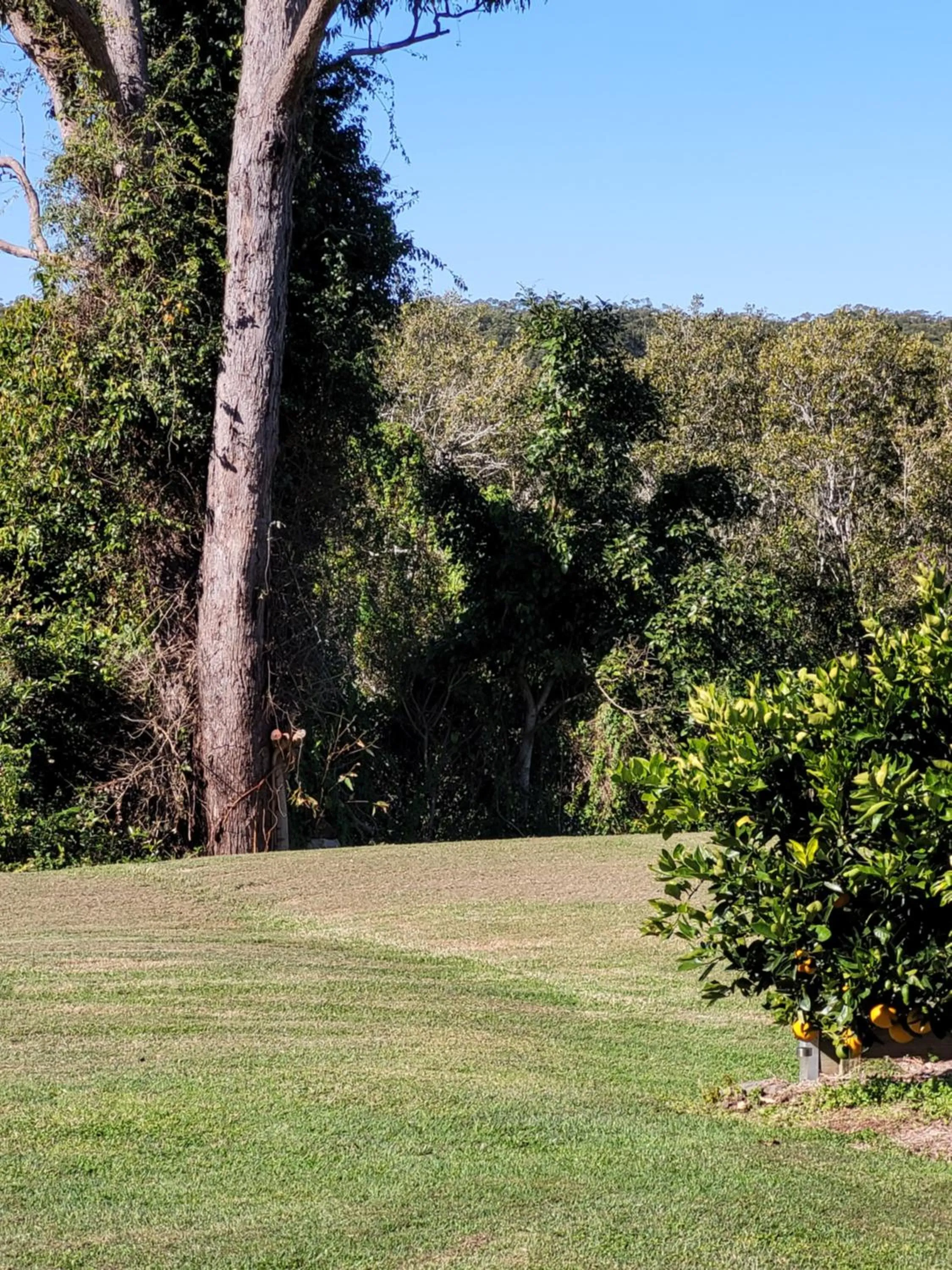 Natural landscape in Jabiru Motel
