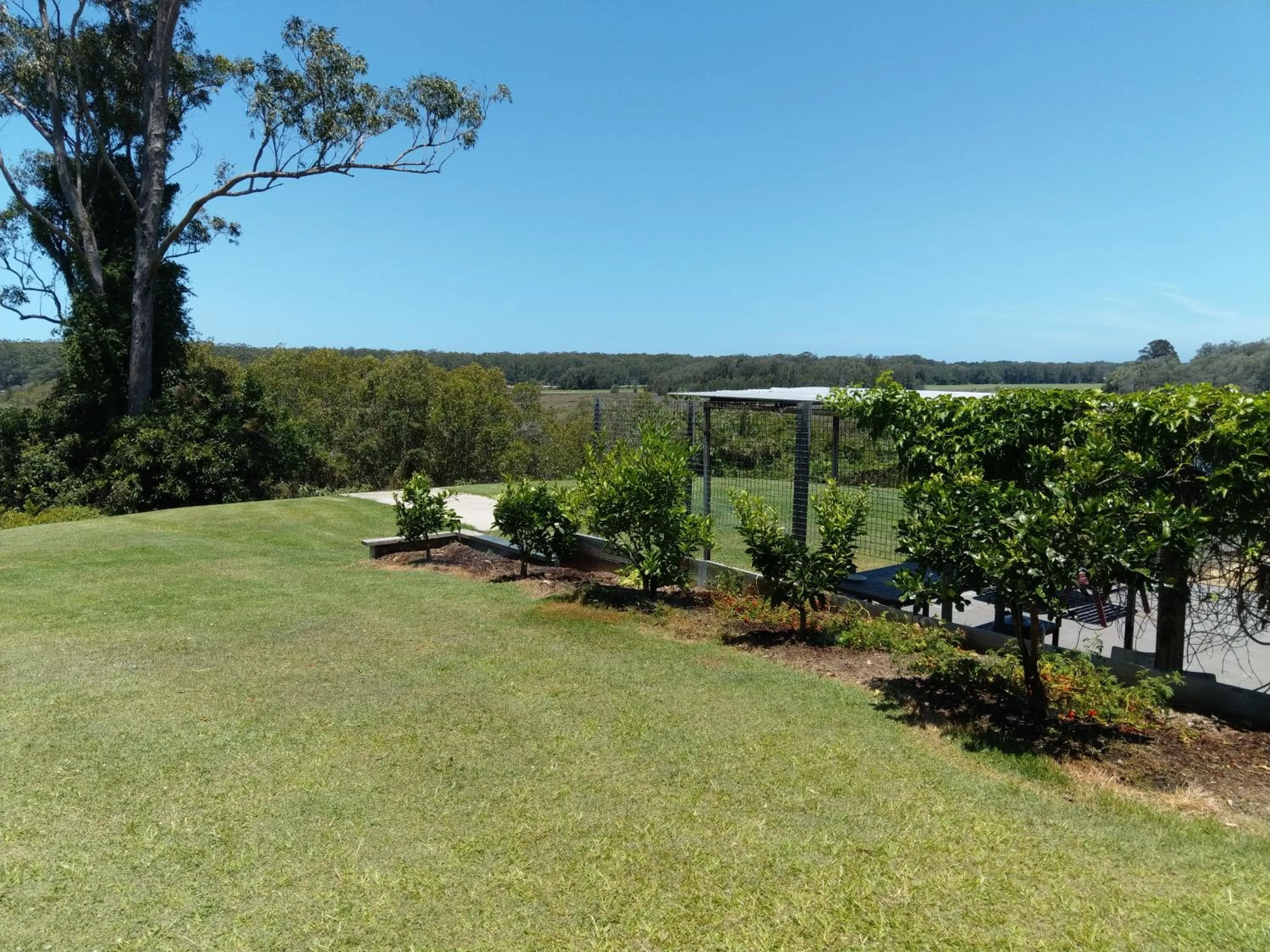 Garden in Jabiru Motel