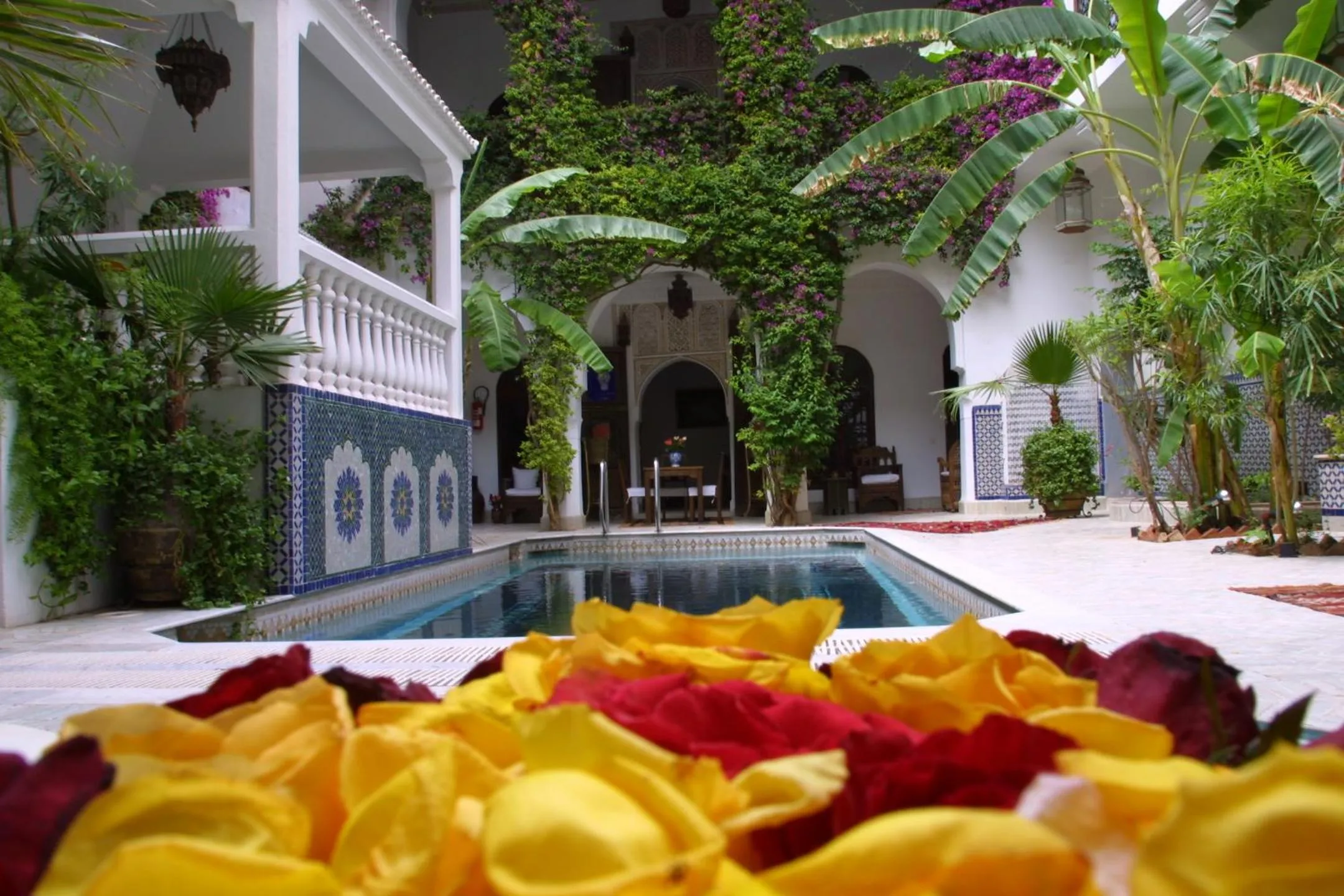 Swimming pool in Riad Dar El Assafir