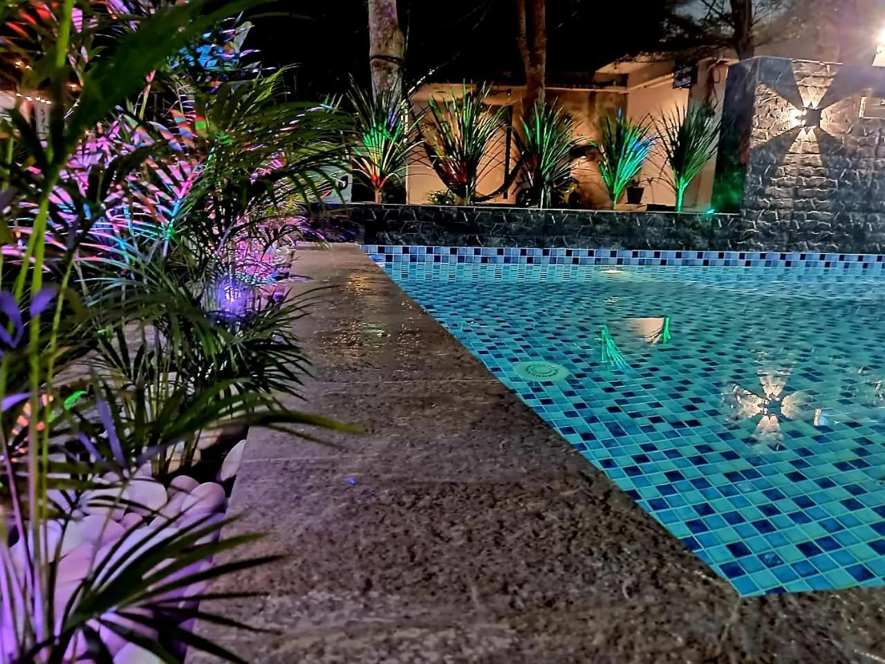 Swimming pool in Tc theme park Guest house