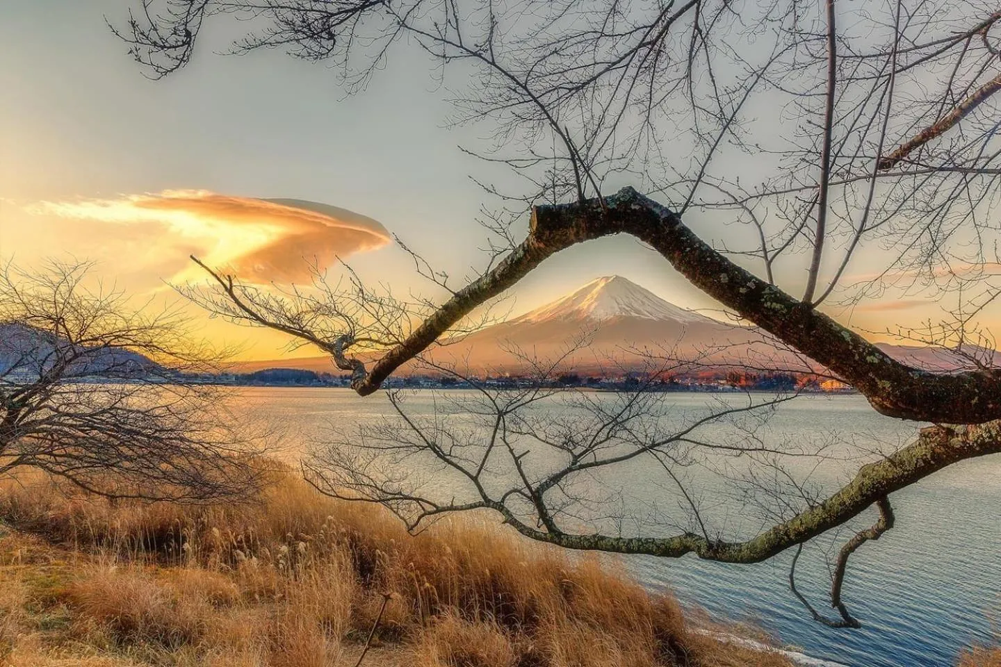 enico MtFuji nagomi和