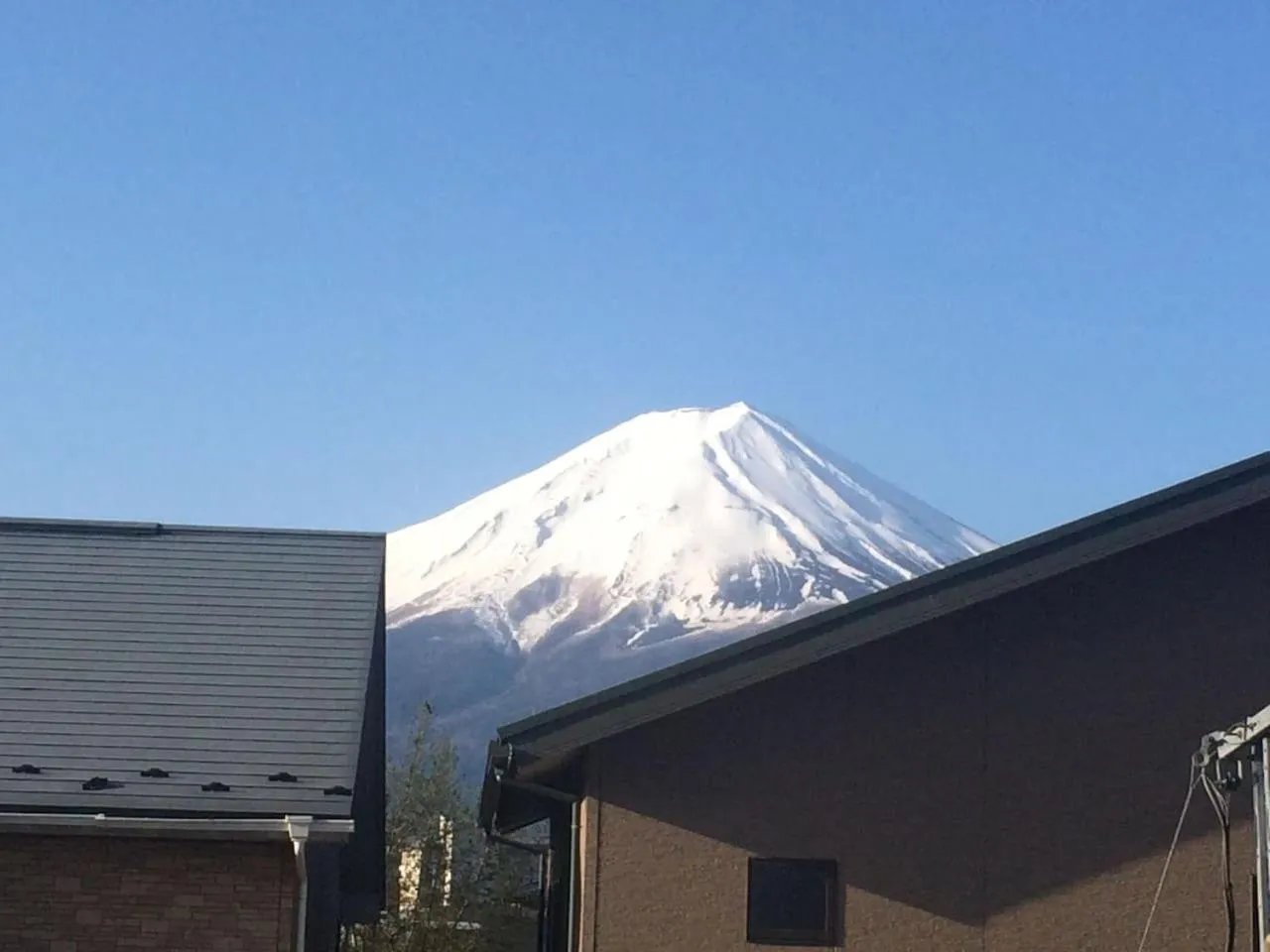enico MtFuji nagomi和