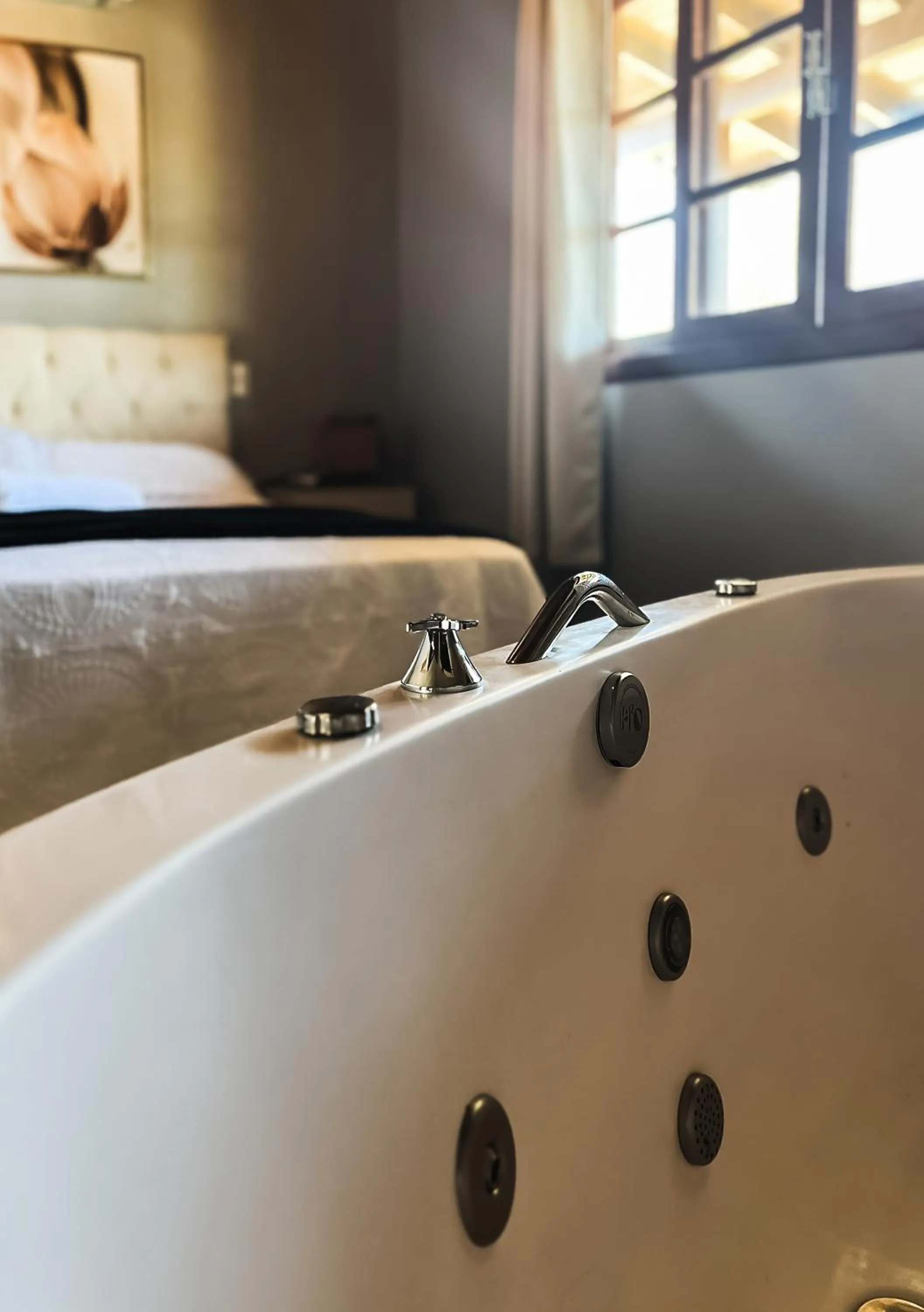 Pousada Natribus Rosa