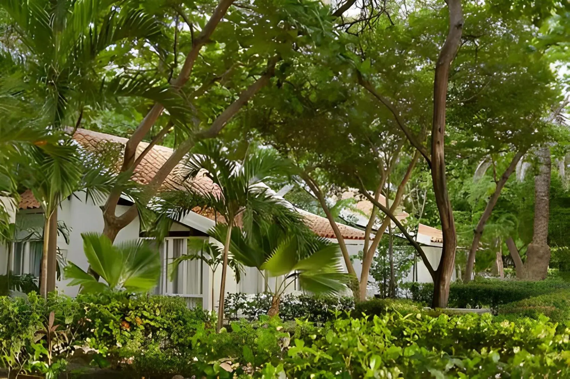 Standard Bungalow - single occupancy in Irotama Lago Standard Bungalow - single occupancy in Irotama Lago