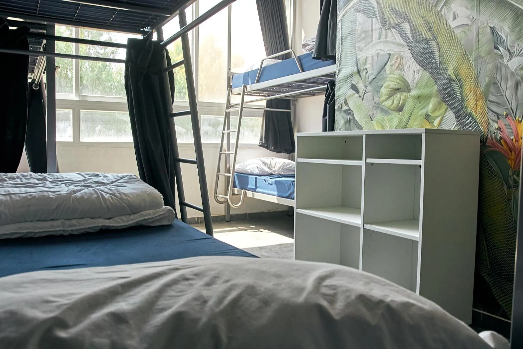 Bed in Jungle Jaffa Hostel Age 18 to 45