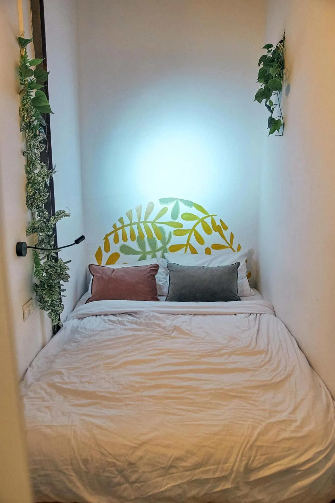 Bed in Jungle Jaffa Hostel Age 18 to 45