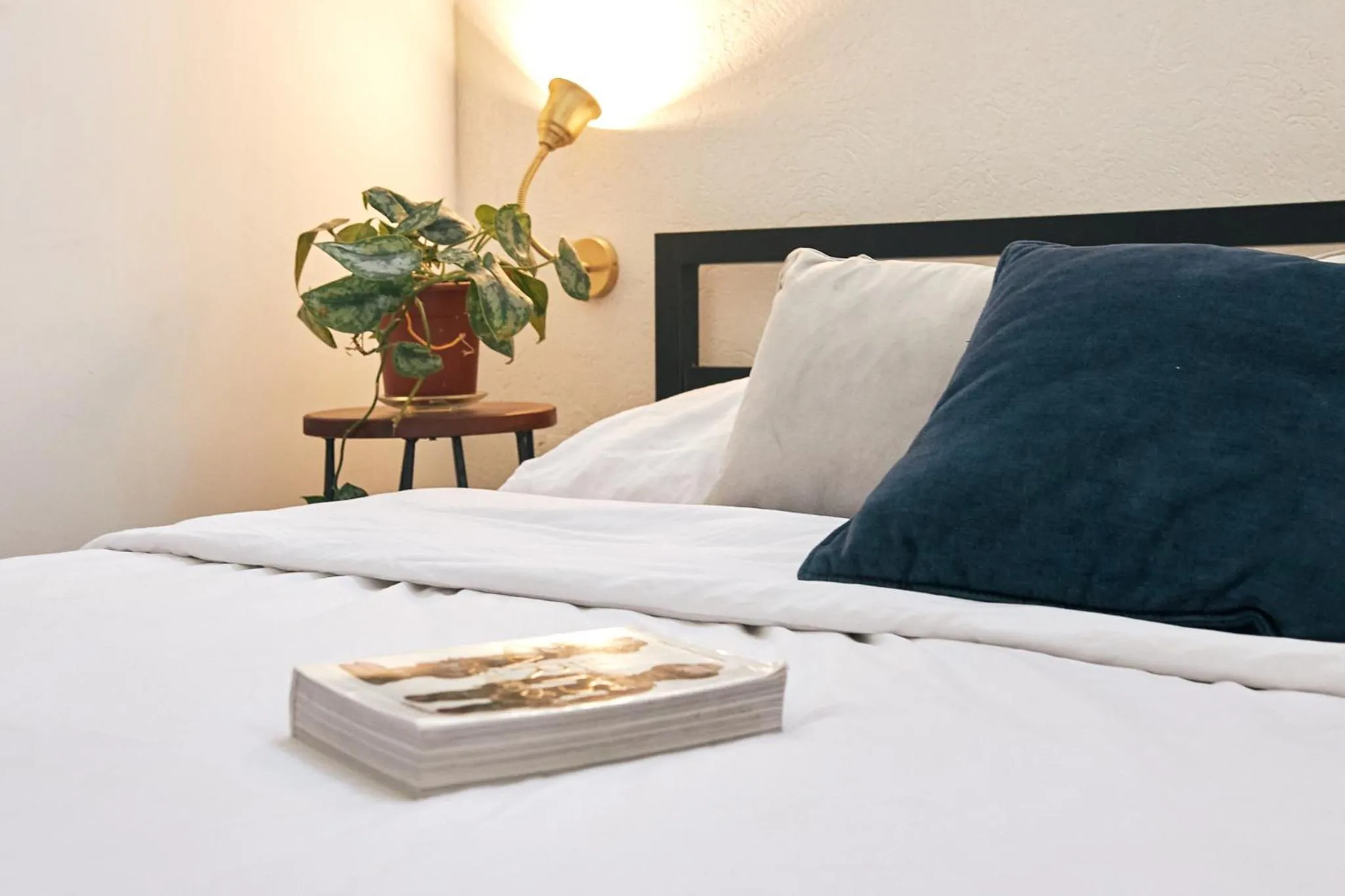 Bed in Jungle Jaffa Hostel Age 18 to 45