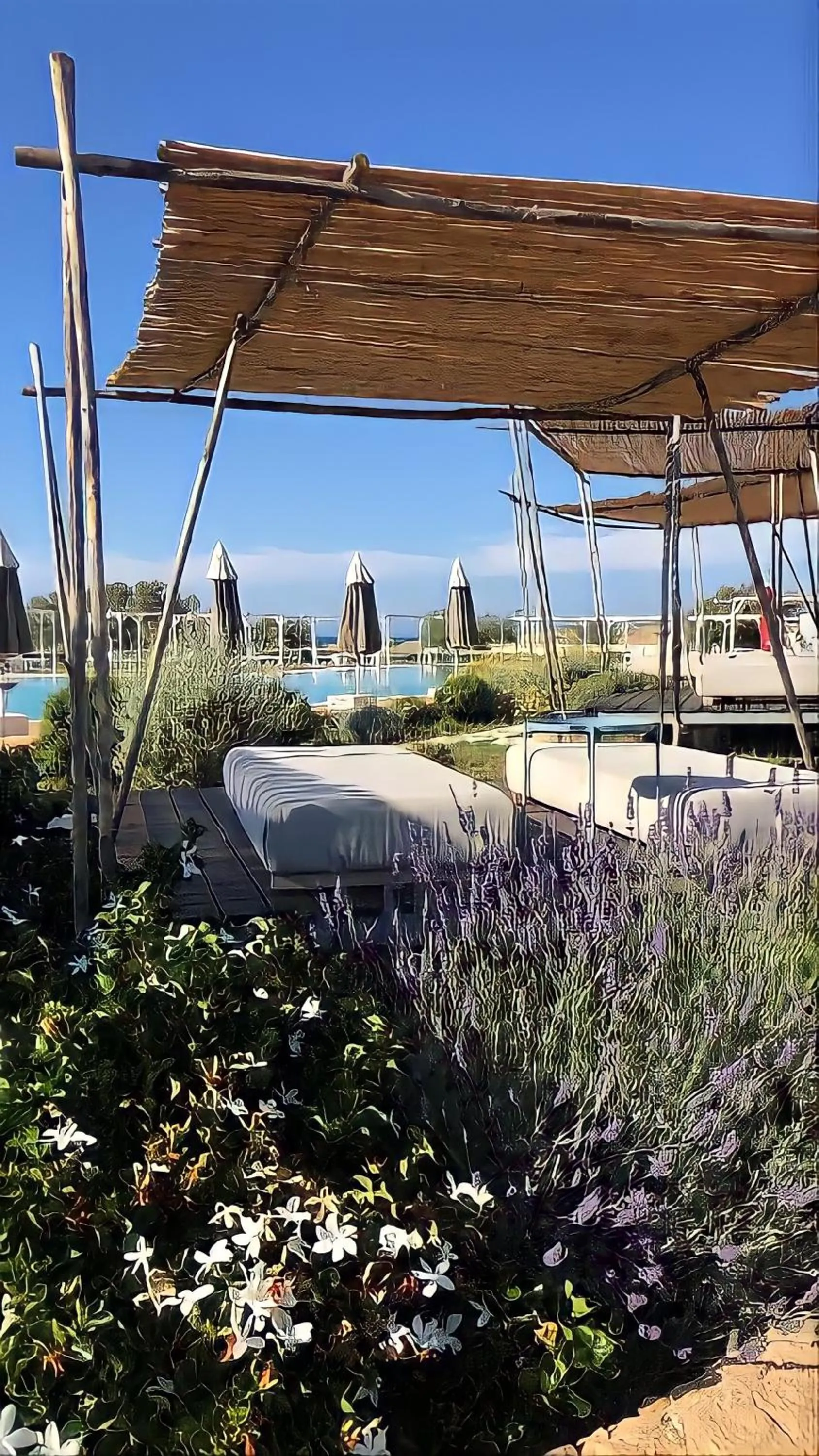 Garden view in Palazzo Biancofiore, suites & rooftop Ostuni