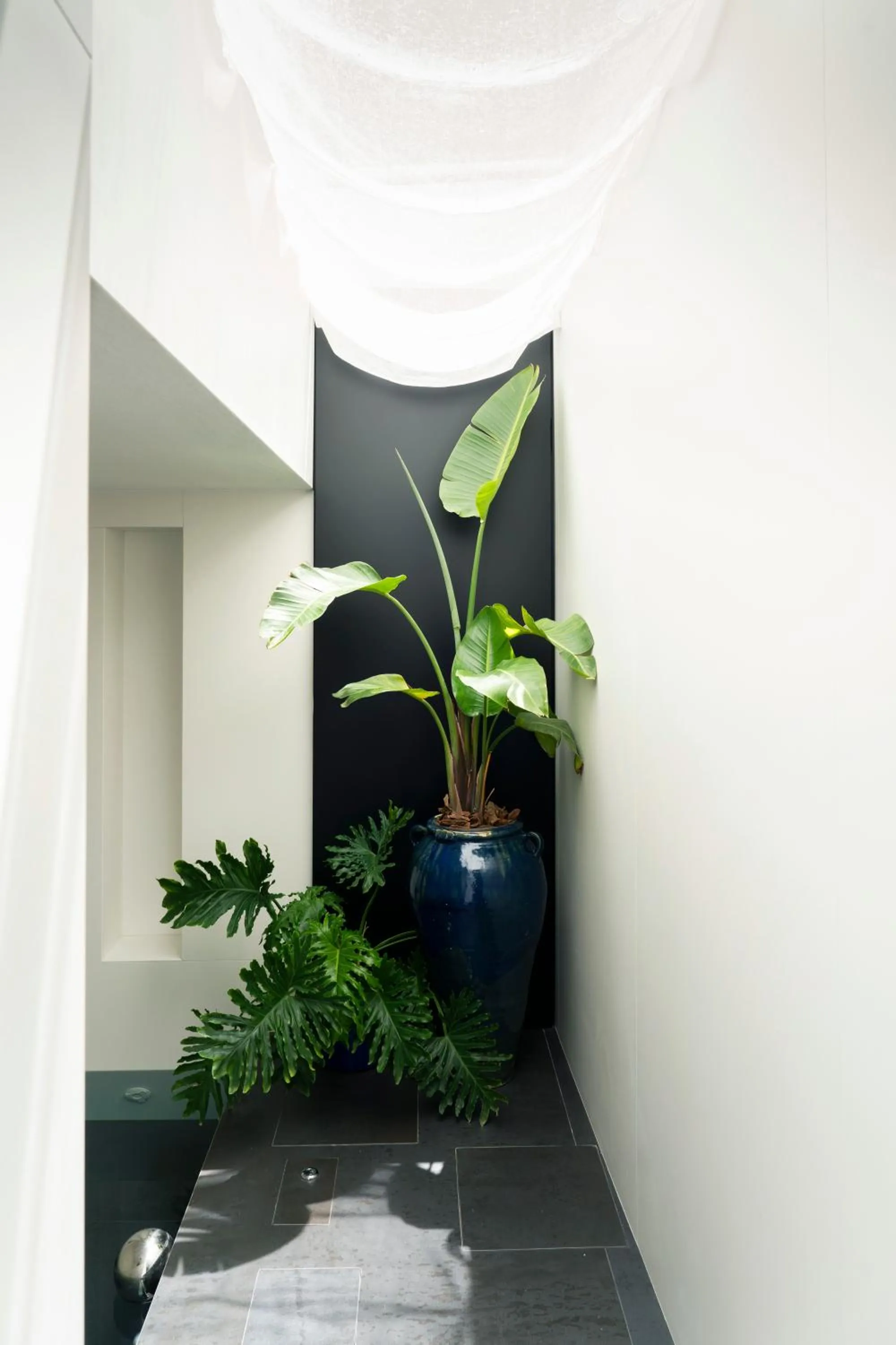 Garden in Palazzo Biancofiore, suites & rooftop Ostuni