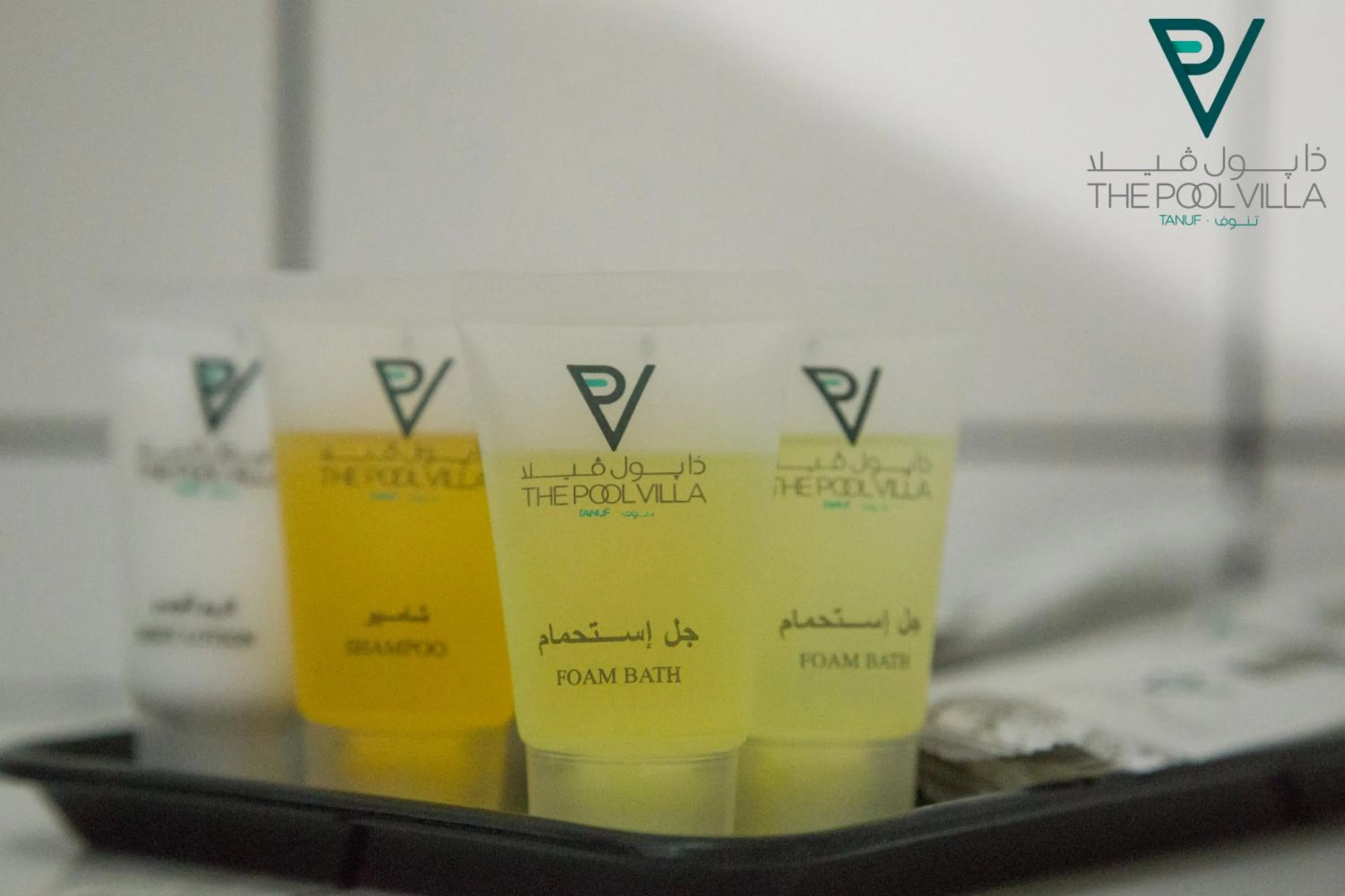 Property logo or sign in THE POOL VILLA - TANUF