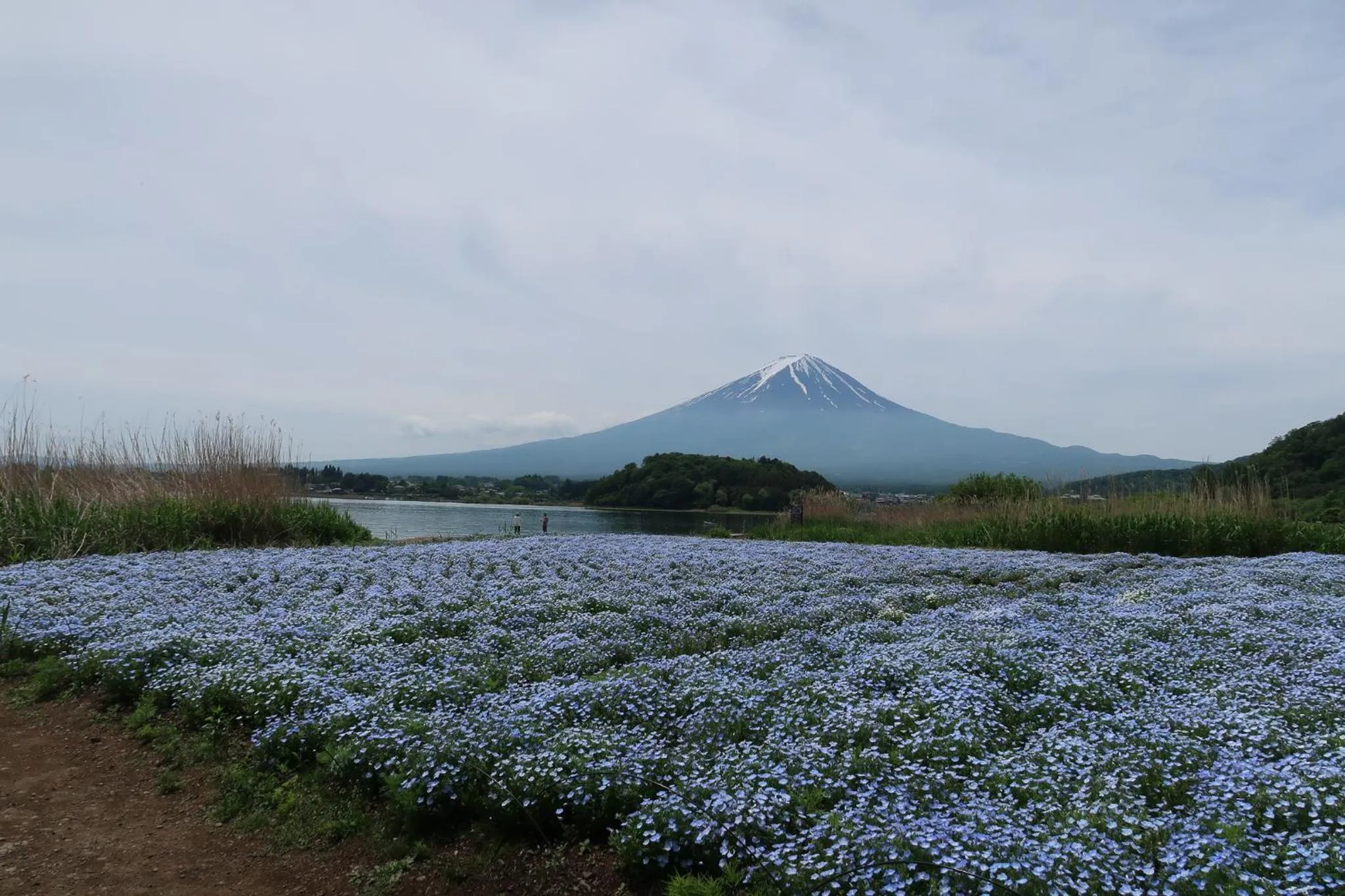 Nearby landmark in Kuranoyado Matsuya