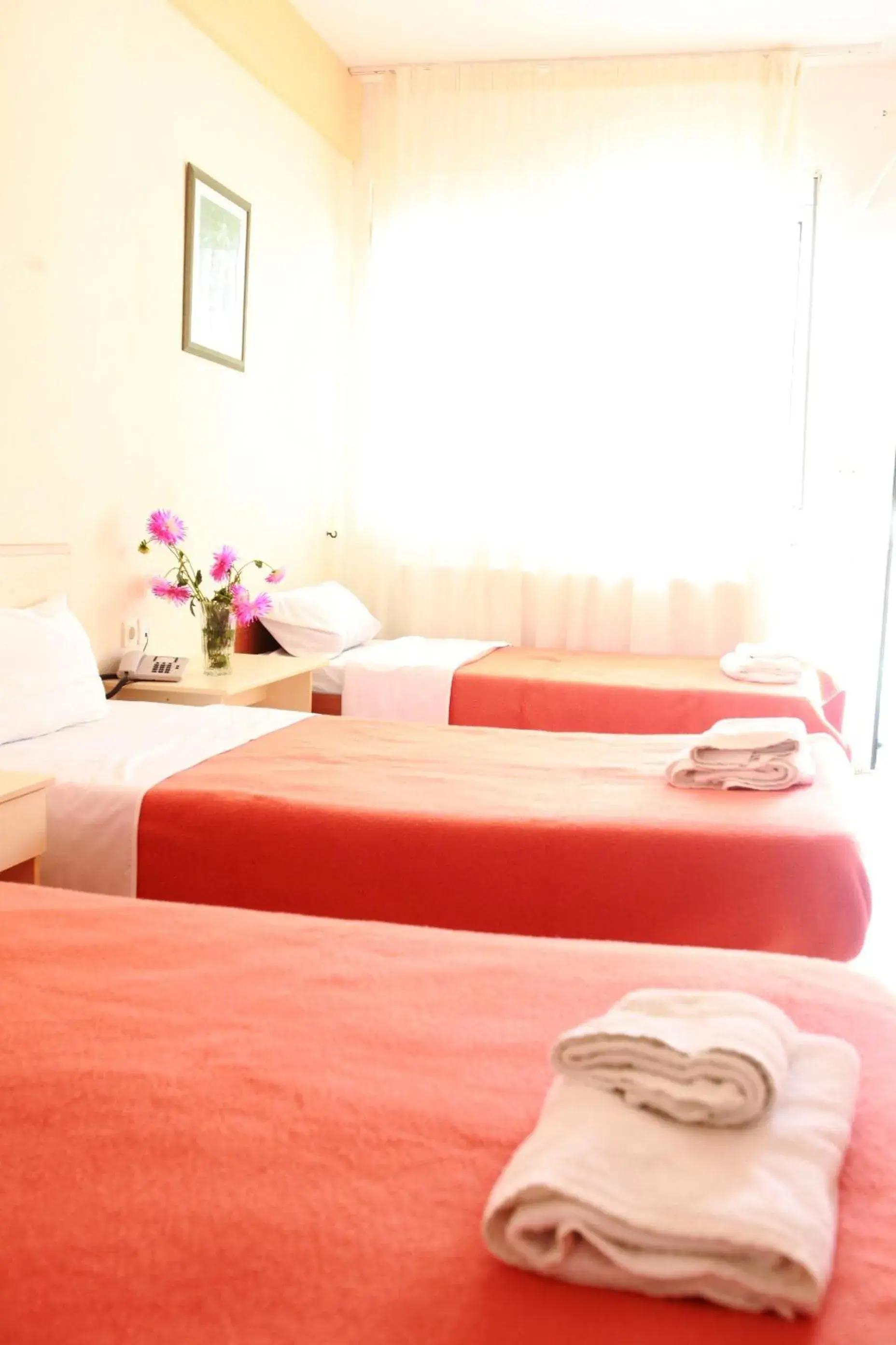 Triple Room in Estia Triple Room in Estia