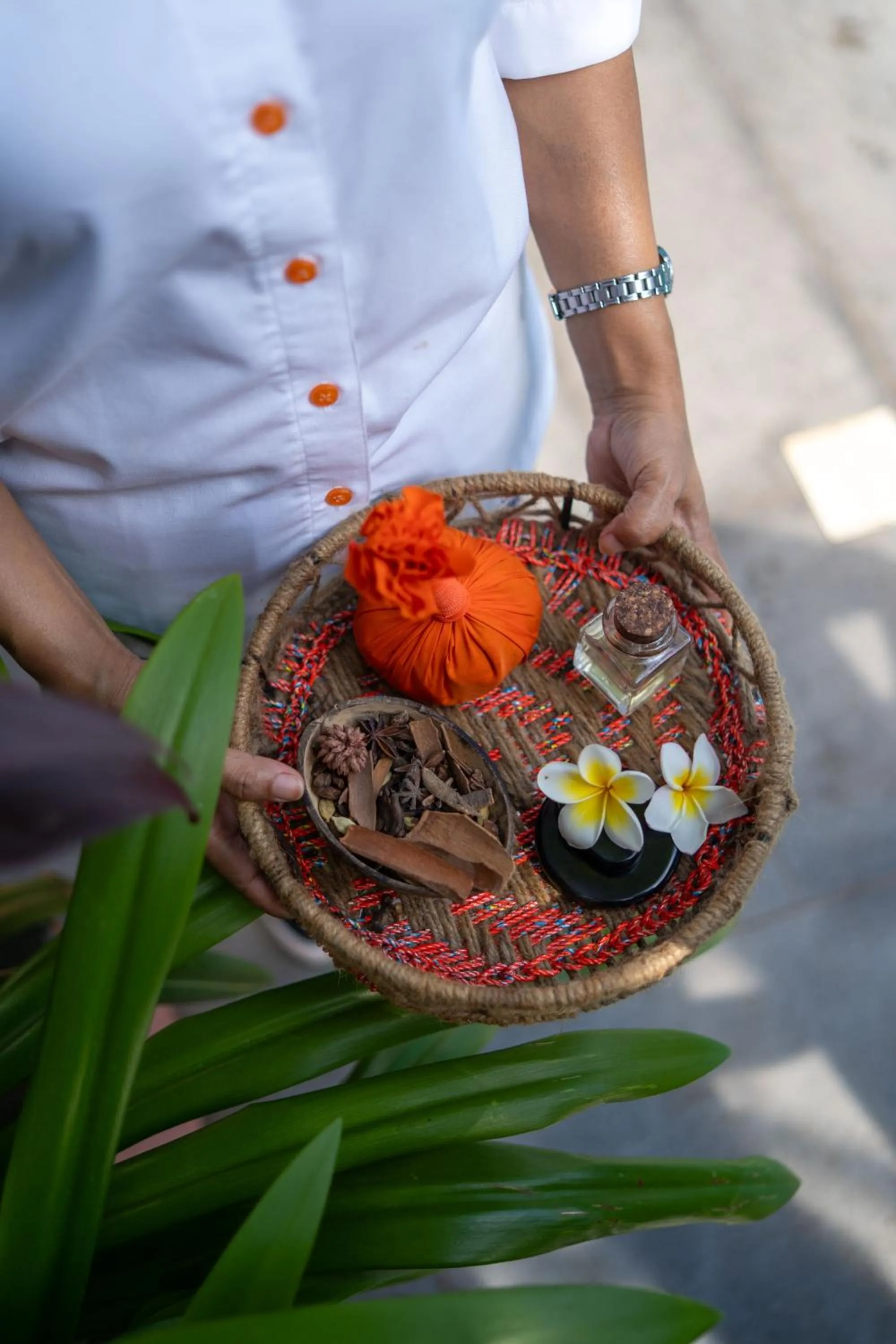 Activities in Hyatt Ronil Goa - a JdV by Hyatt Hotel