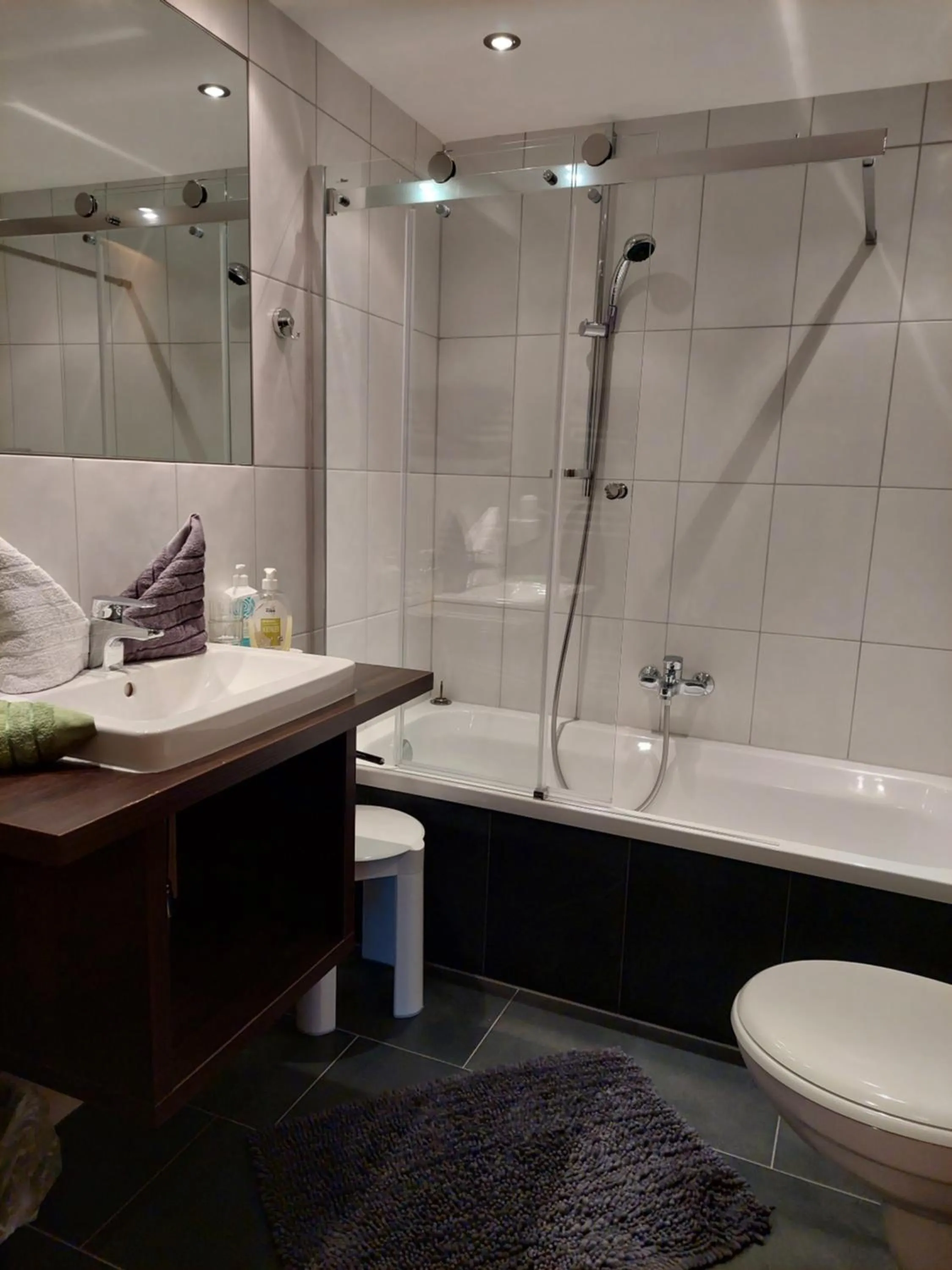 Toilet in Haus Felsneck