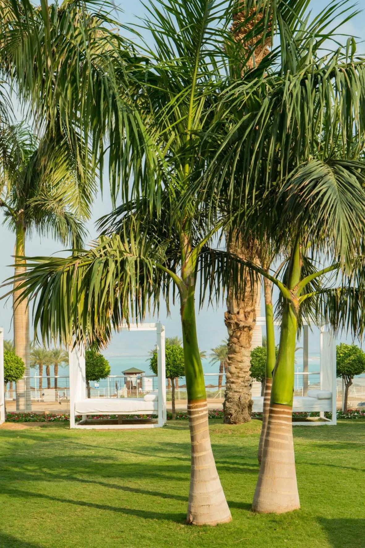 Garden in Nevo by Isrotel Collection