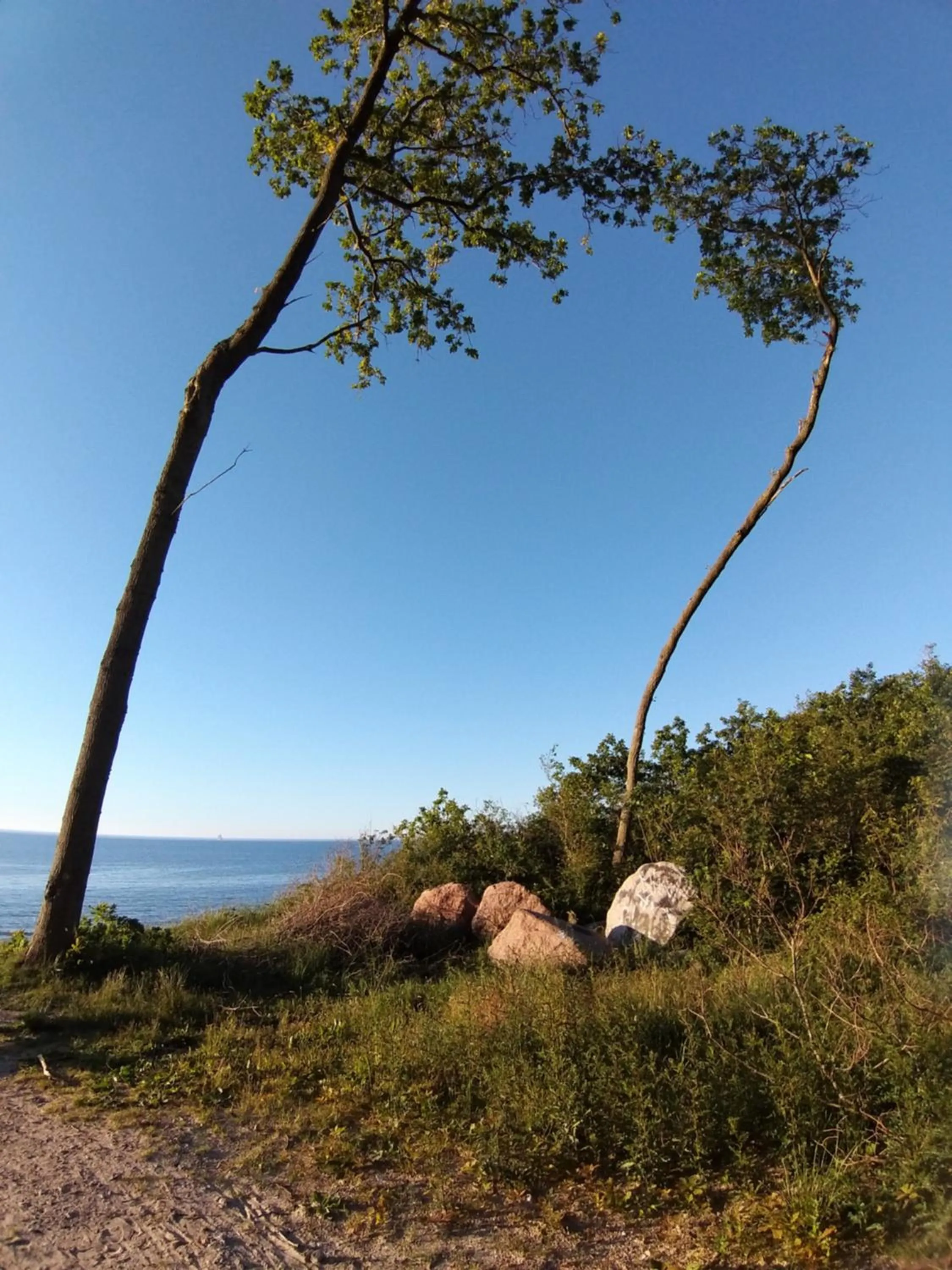 Day in SOSNOWY KLIFF