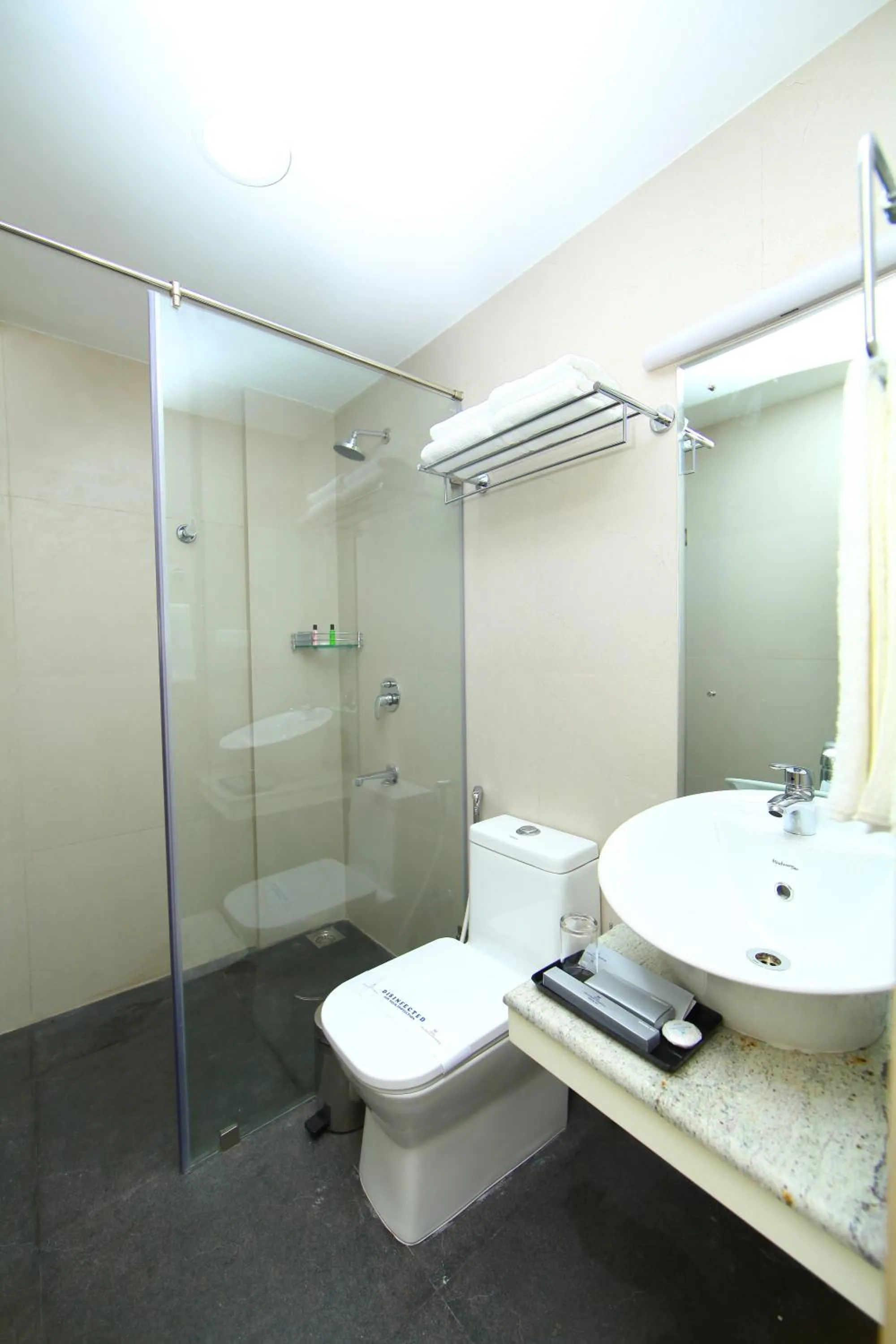 Toilet in Millennium Continental