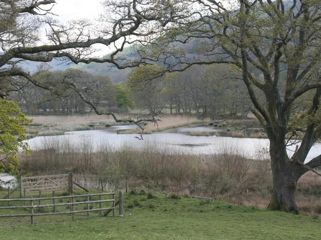 View (from property/room) in The Old School House Bed and Breakfast