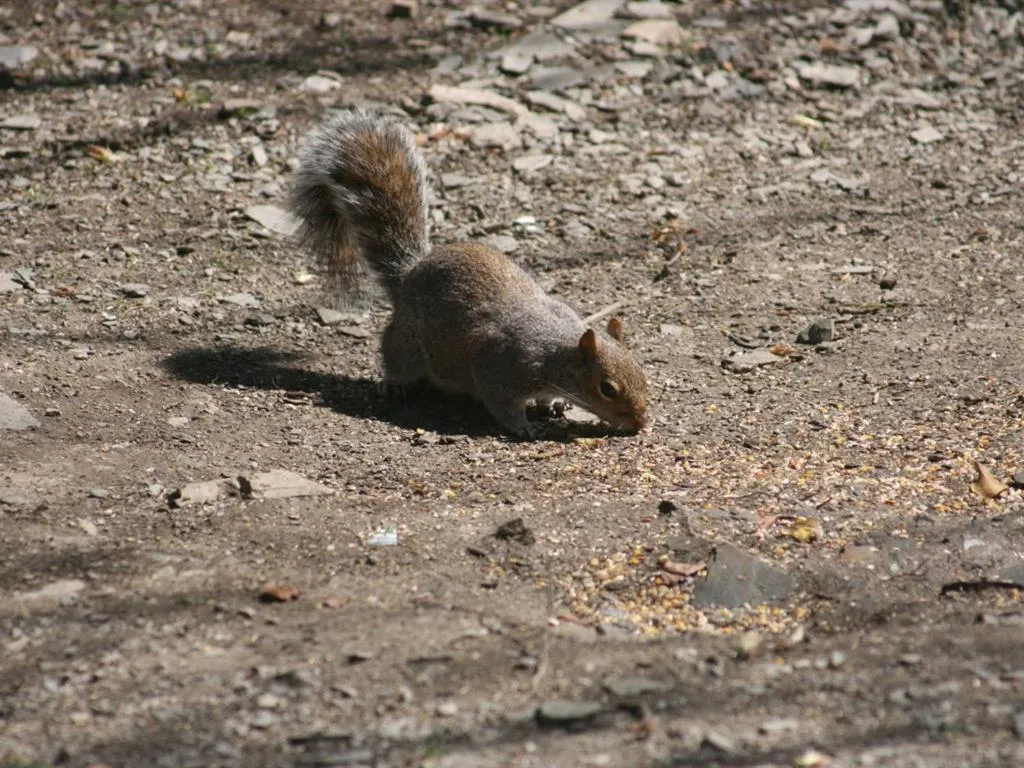 View (from property/room) in The Old School House Bed and Breakfast