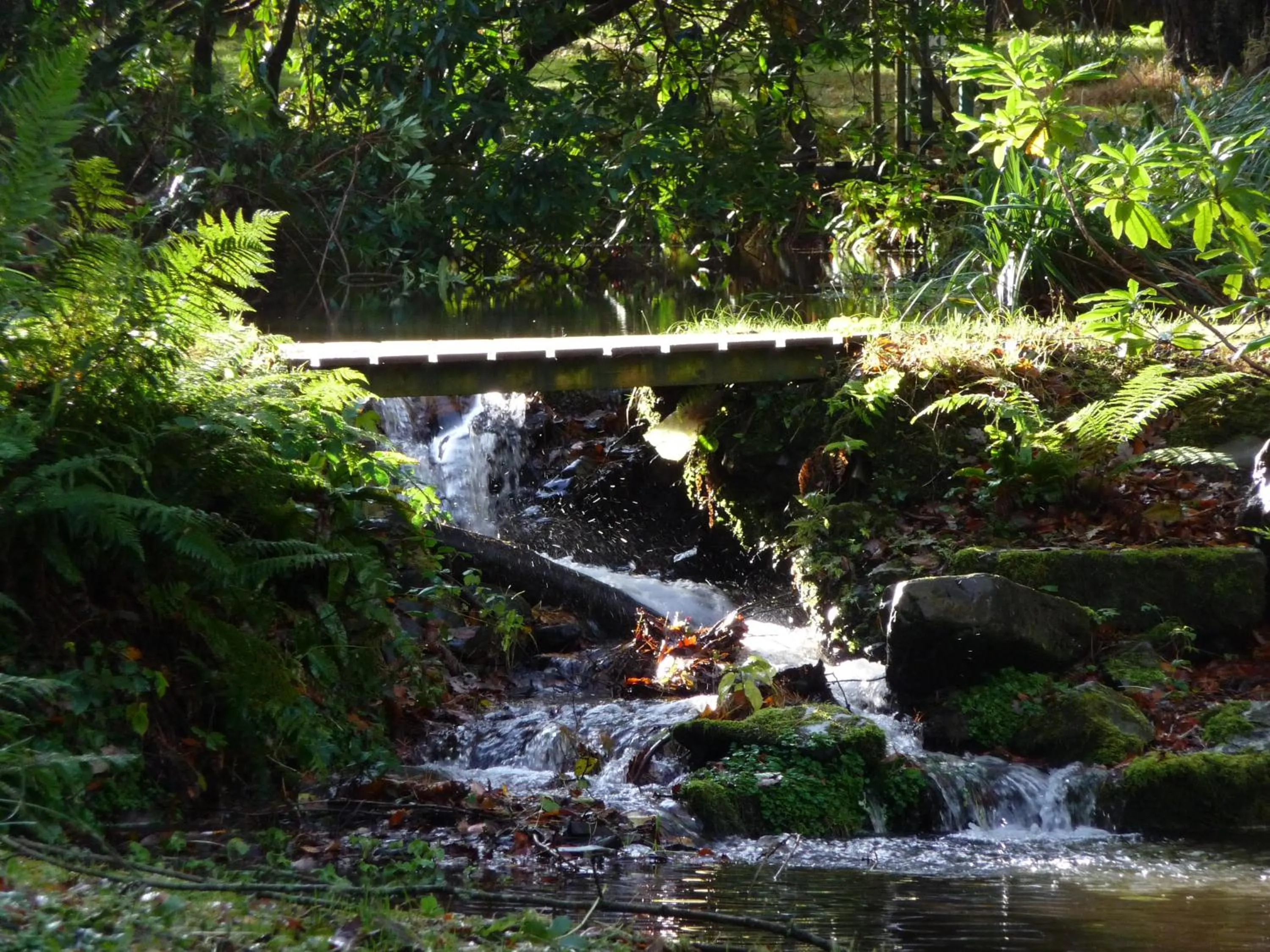 Area and facilities in The Hunters Inn
