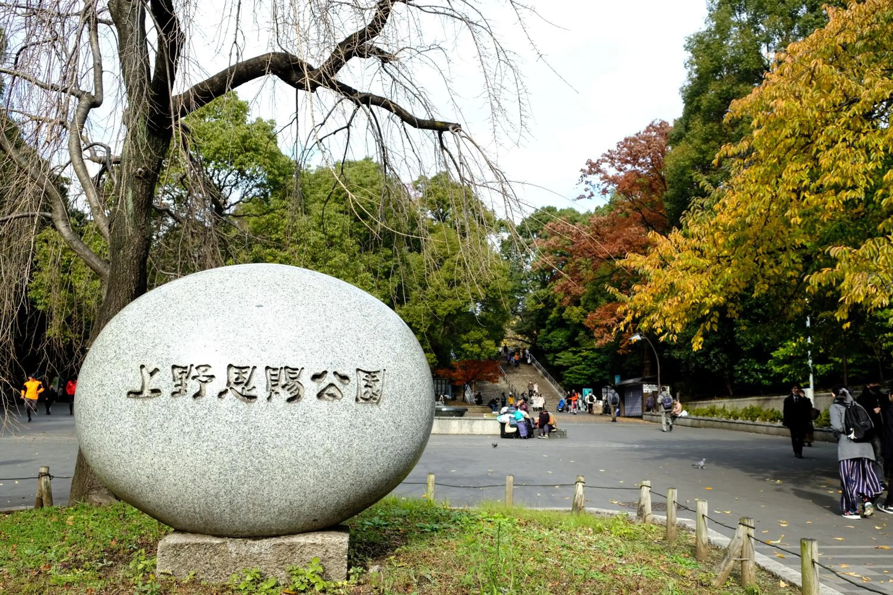 Neighbourhood in bnb+ Ueno Okachimachi