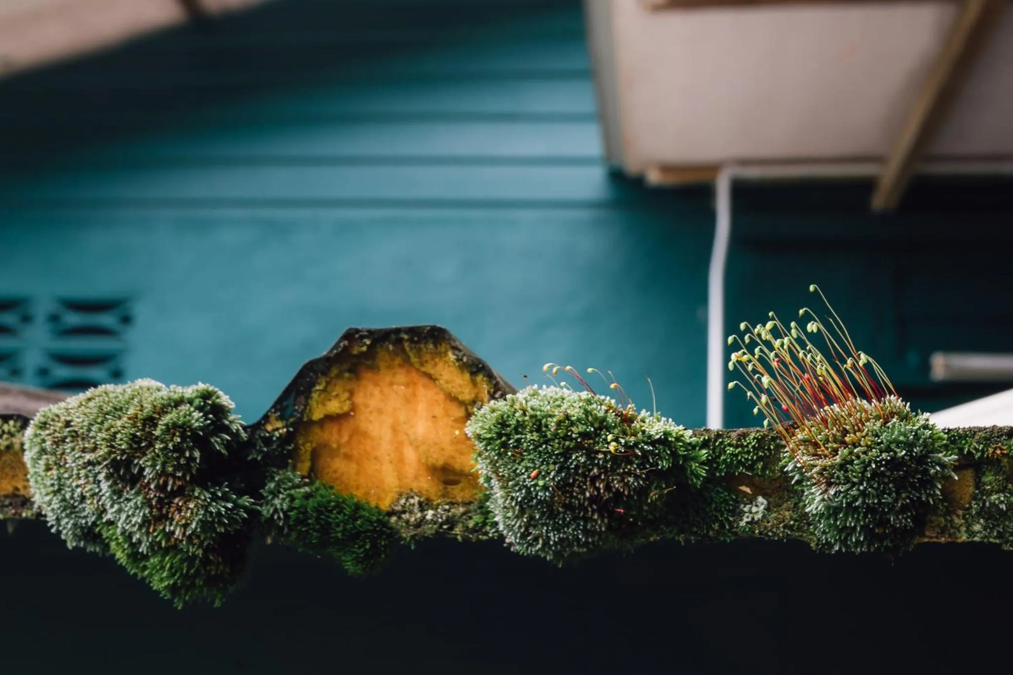 Text overlay in Heahtitude - Children Not Allowed