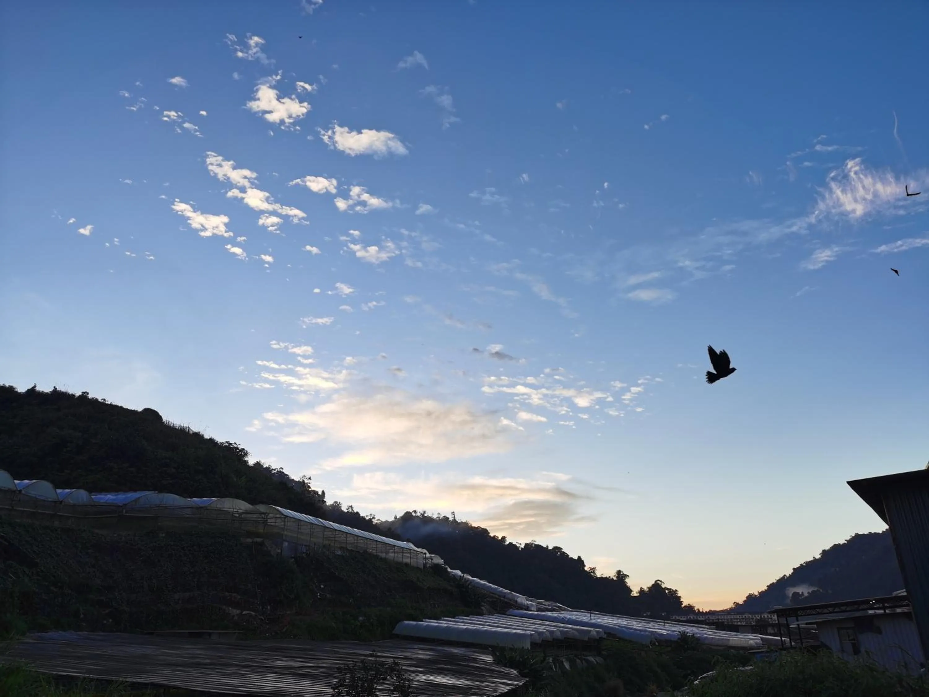 Natural landscape in Heahtitude - Children Not Allowed