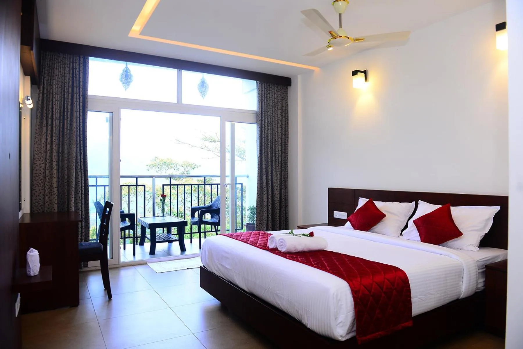 Palmtree Leaf, Munnar