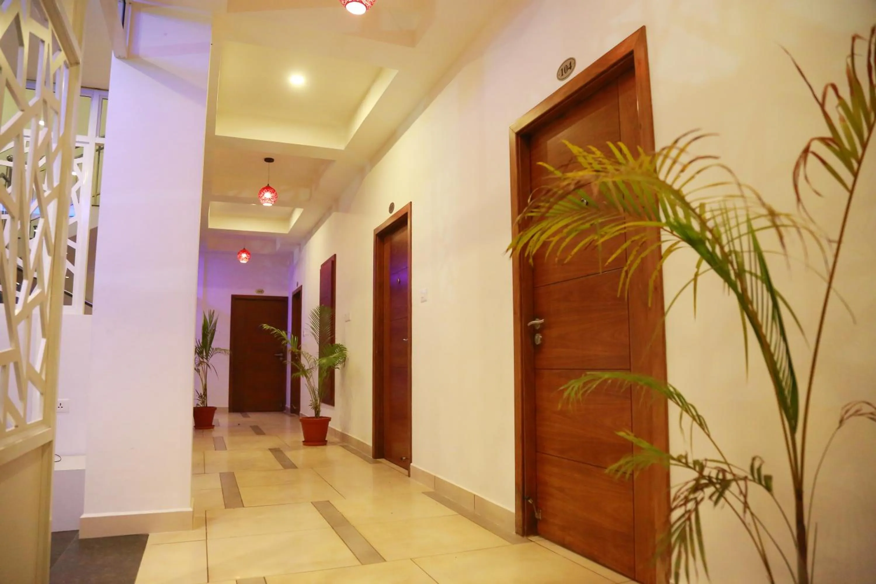 Palmtree Leaf, Munnar