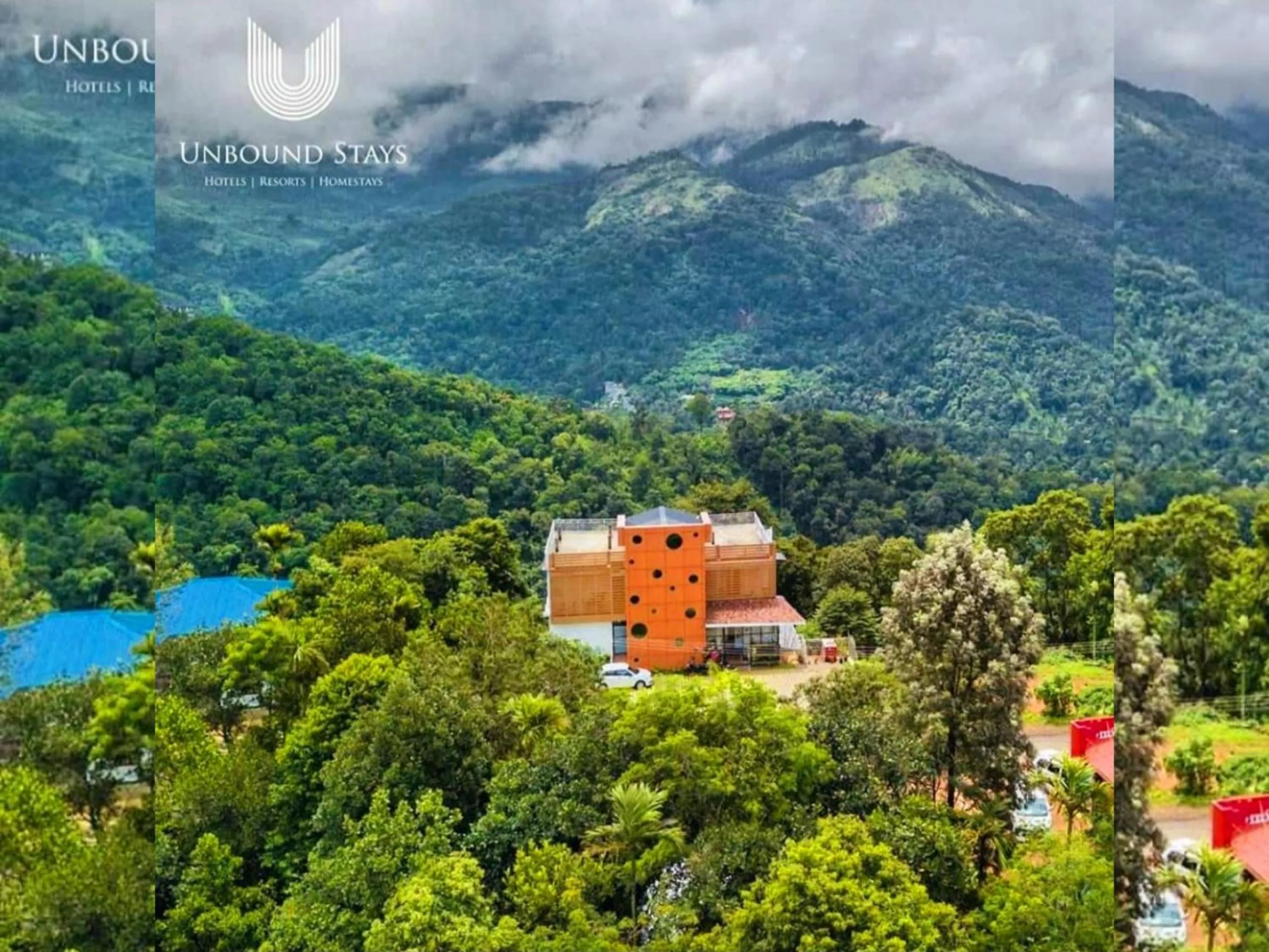 Bird's eye view in Palmtree Leaf, Munnar
