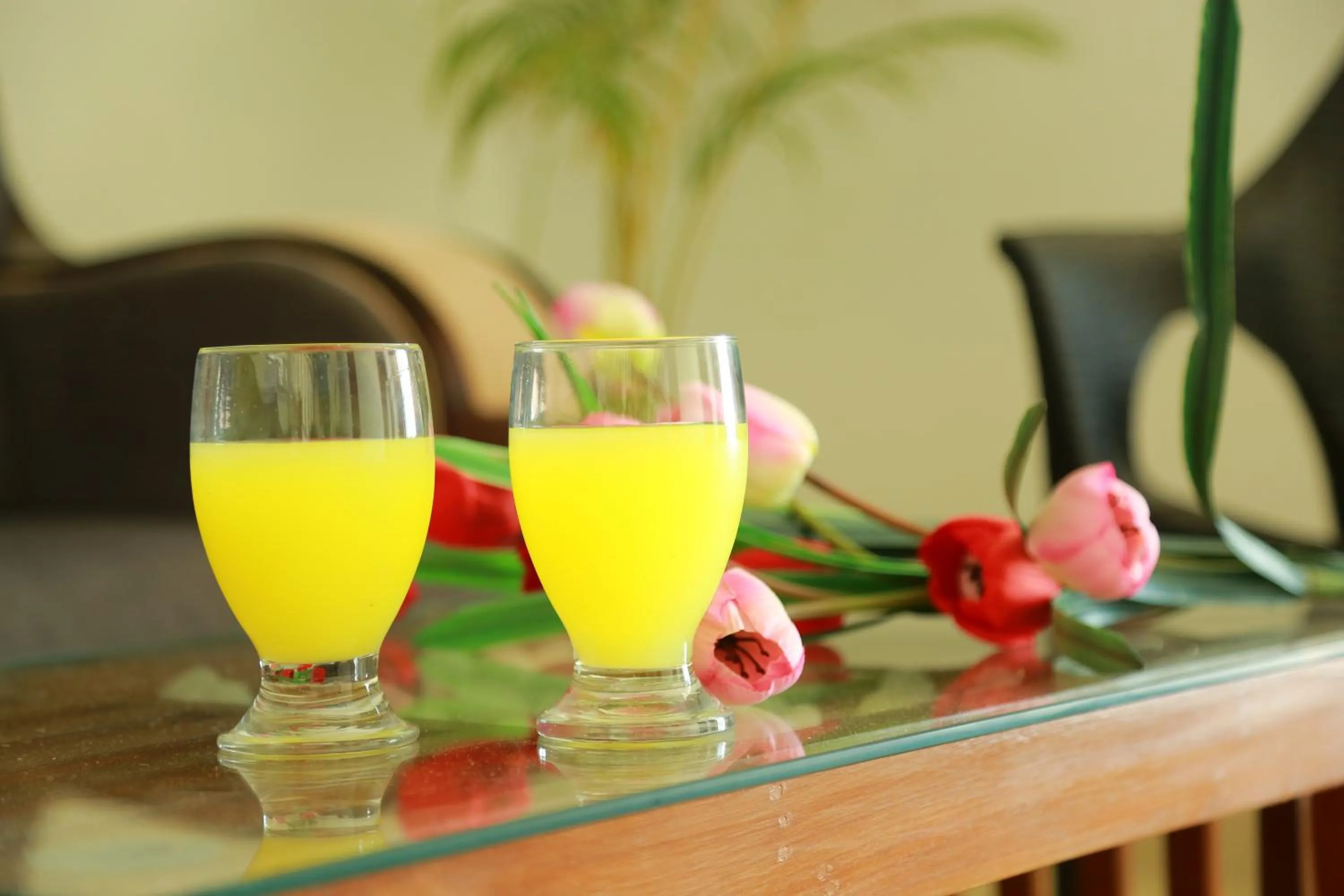 Palmtree Leaf, Munnar