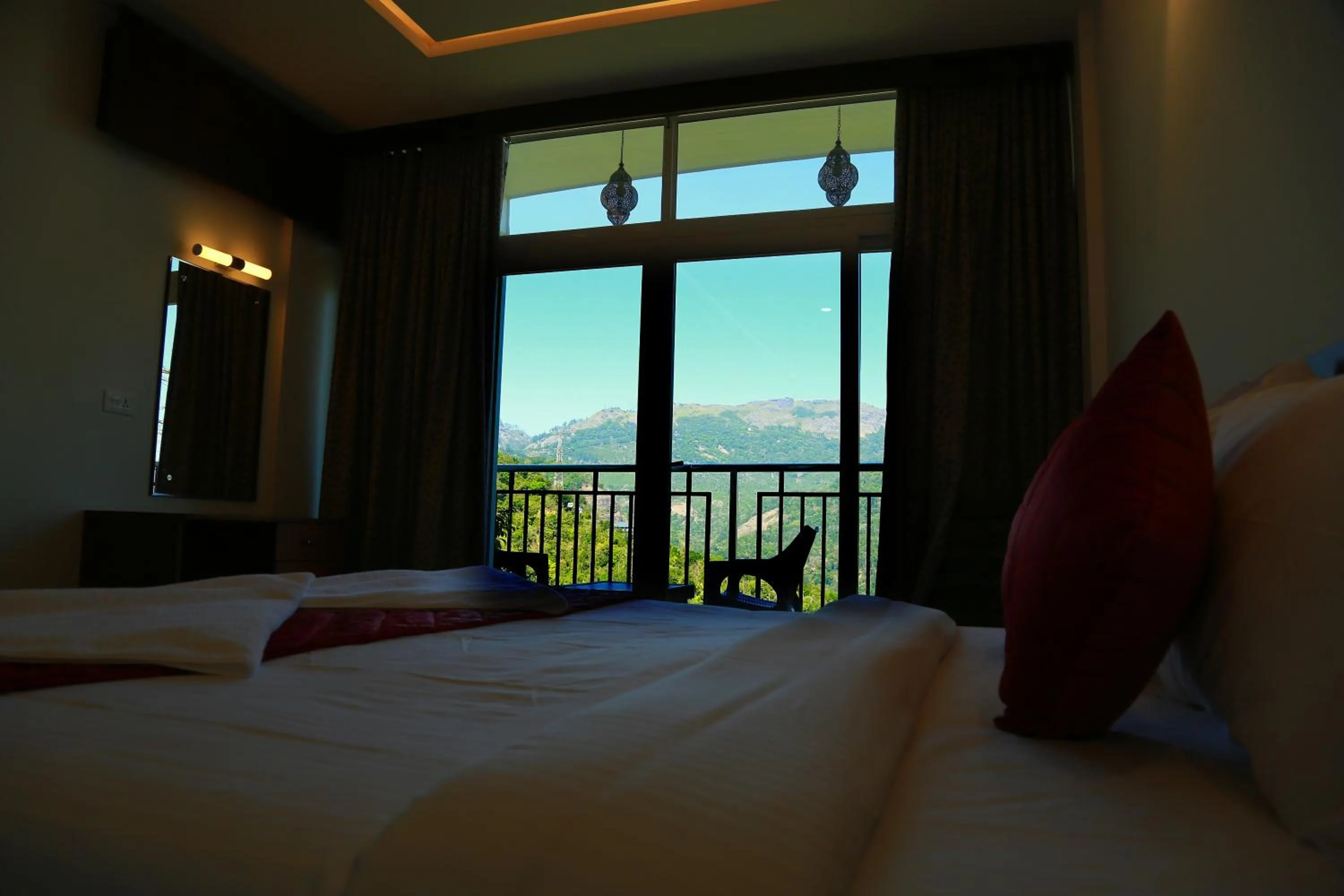 Palmtree Leaf, Munnar