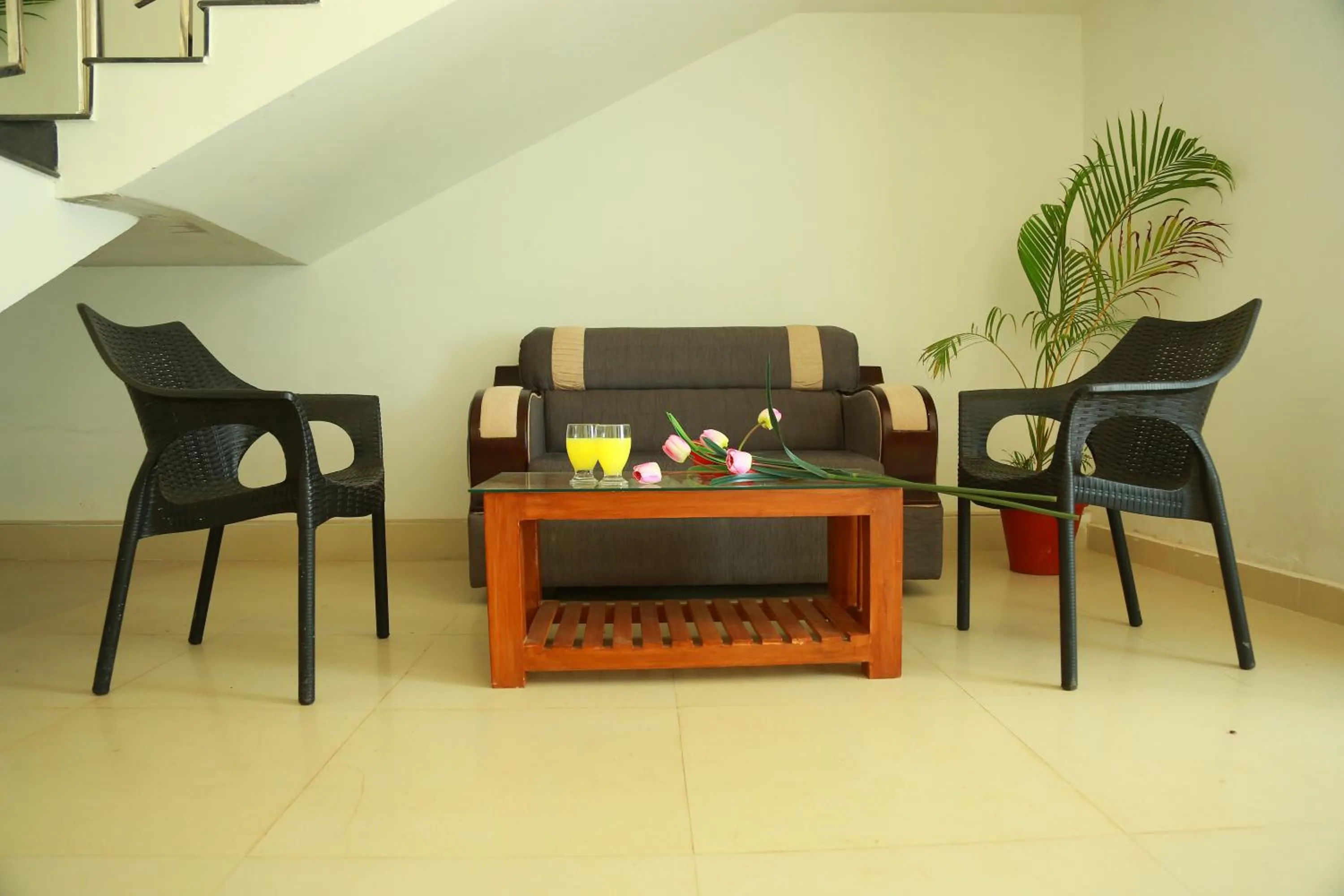 Palmtree Leaf, Munnar