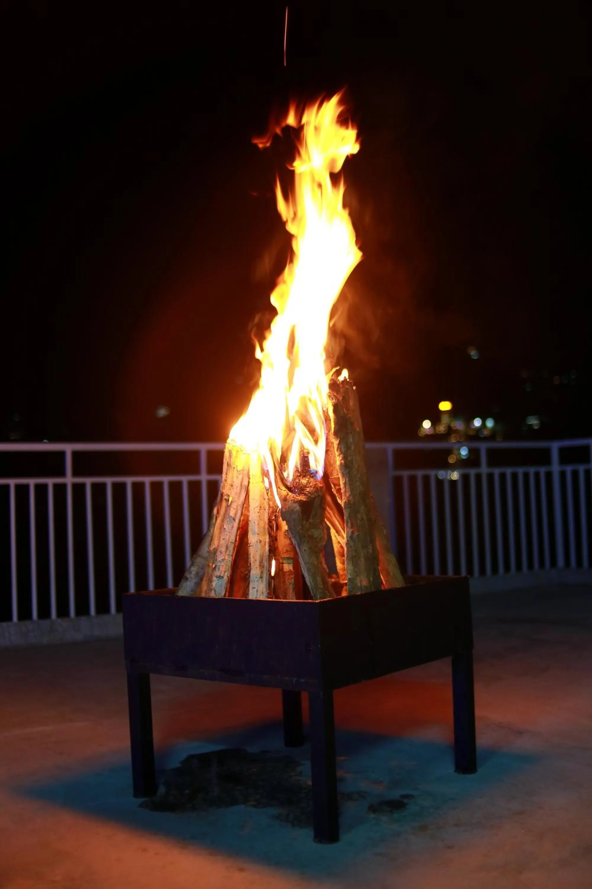 Palmtree Leaf, Munnar