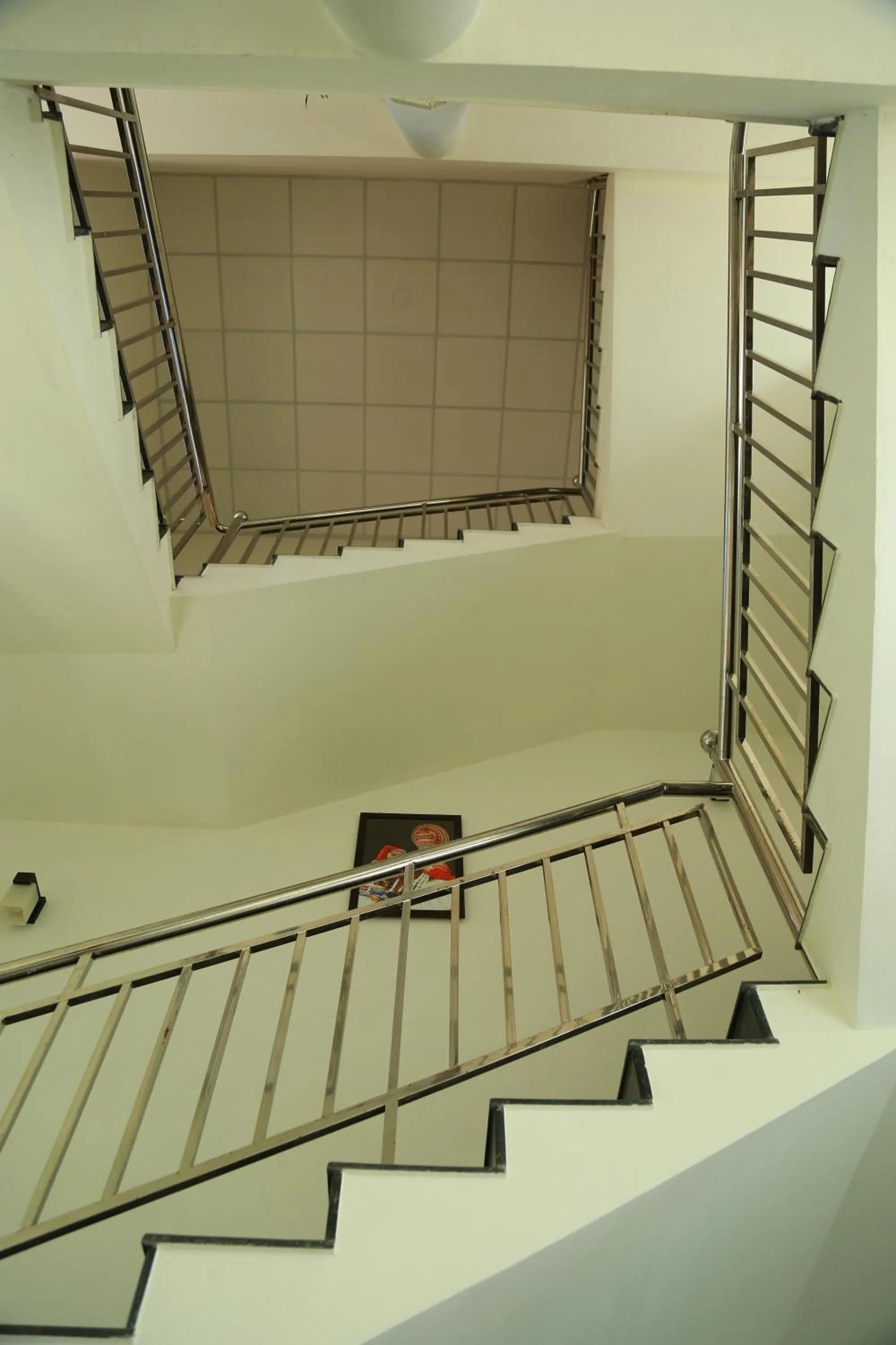 Palmtree Leaf, Munnar