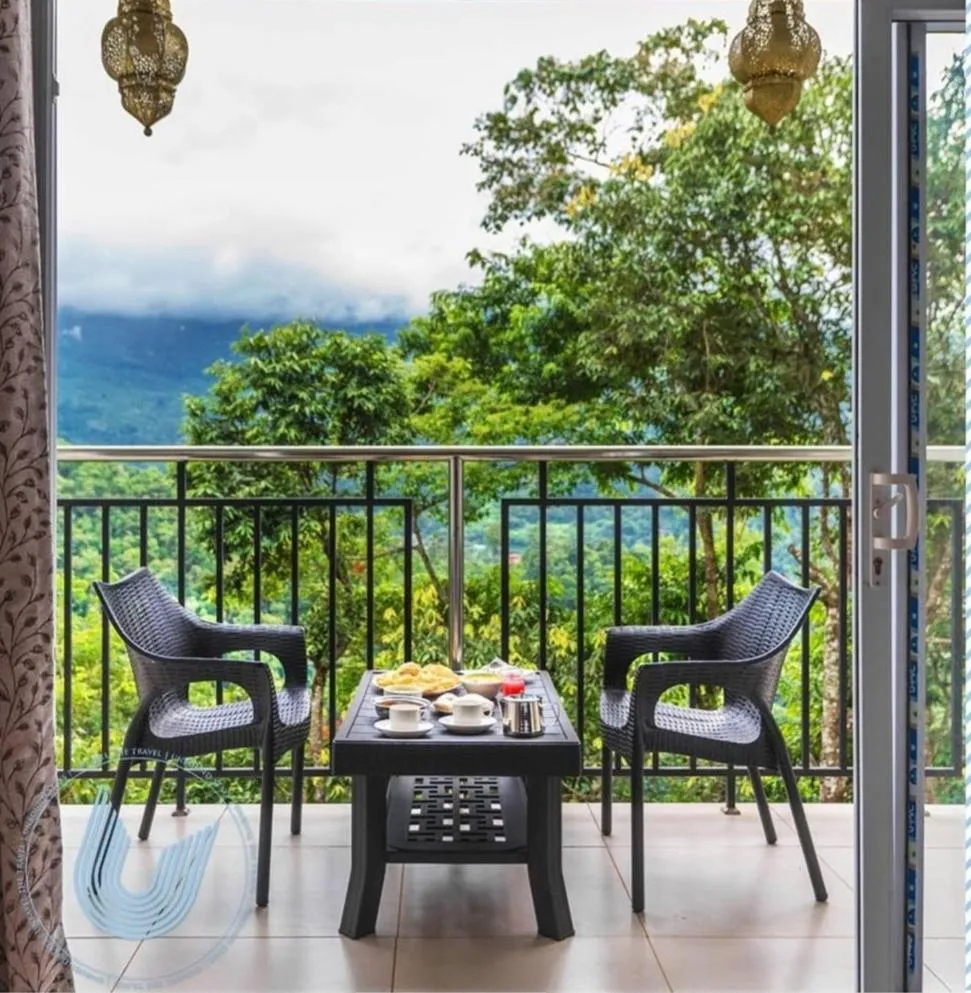 Palmtree Leaf, Munnar