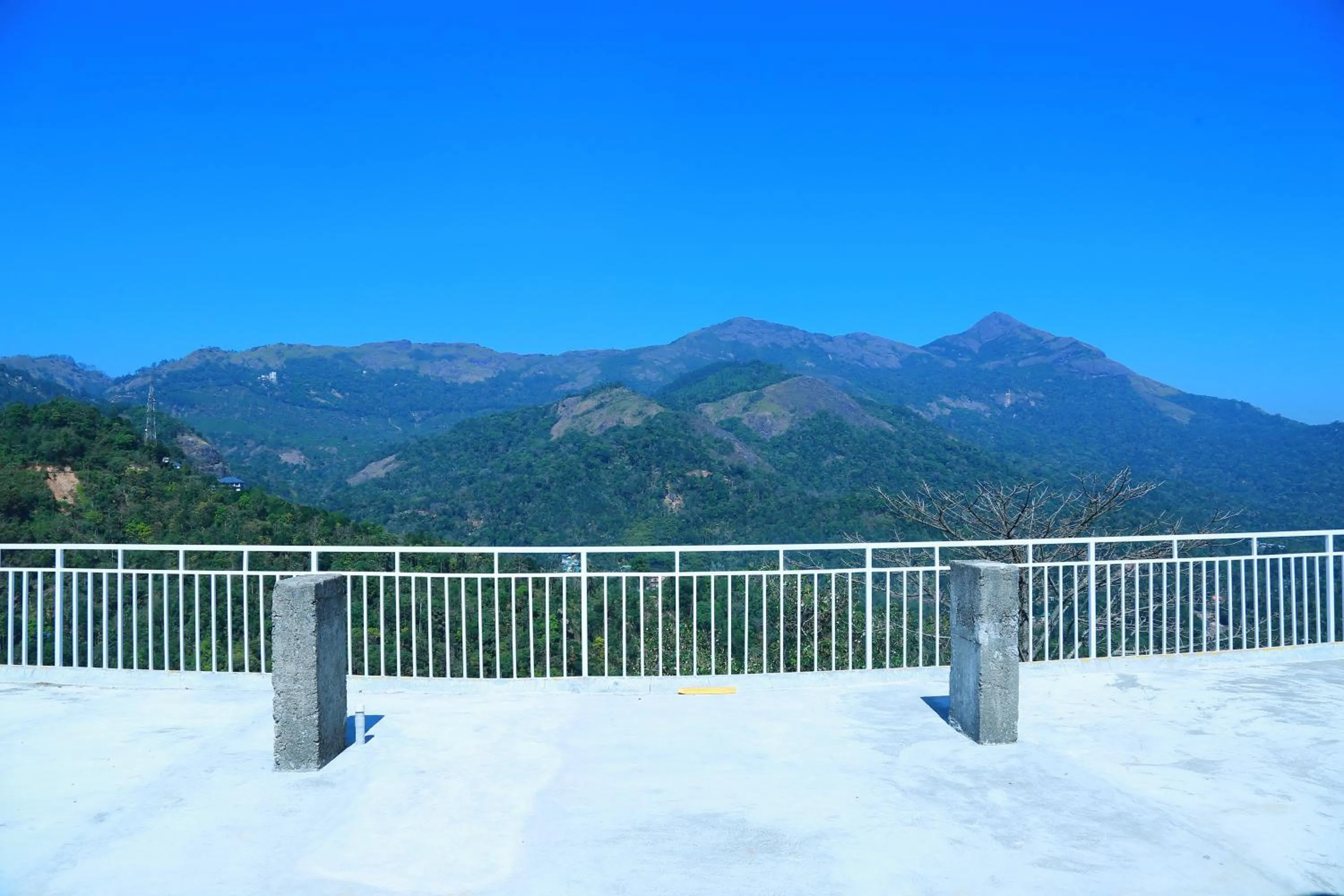 Balcony/Terrace in Palmtree Leaf, Munnar