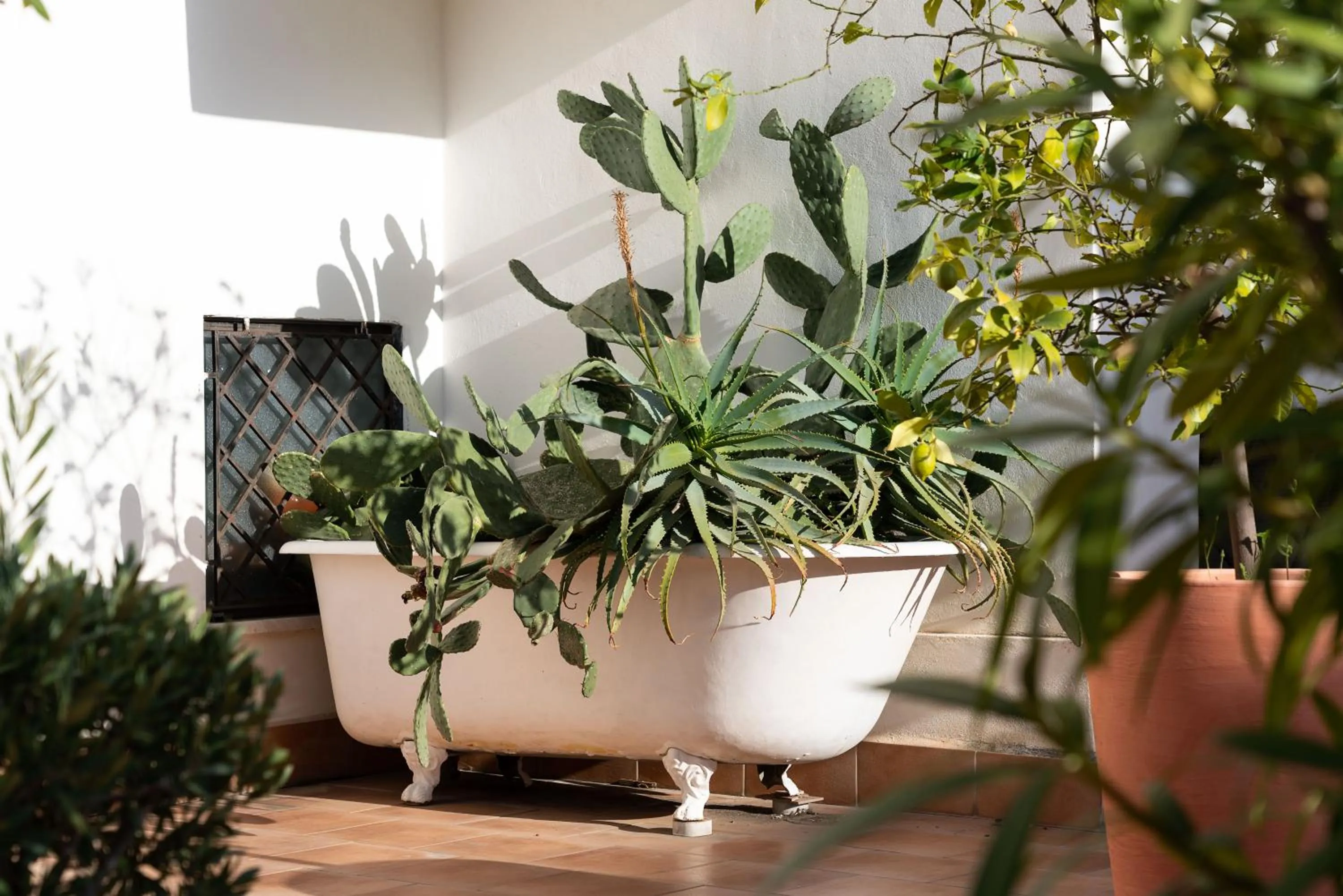 Garden in Il Giardino di Ballarò Boutique B&B