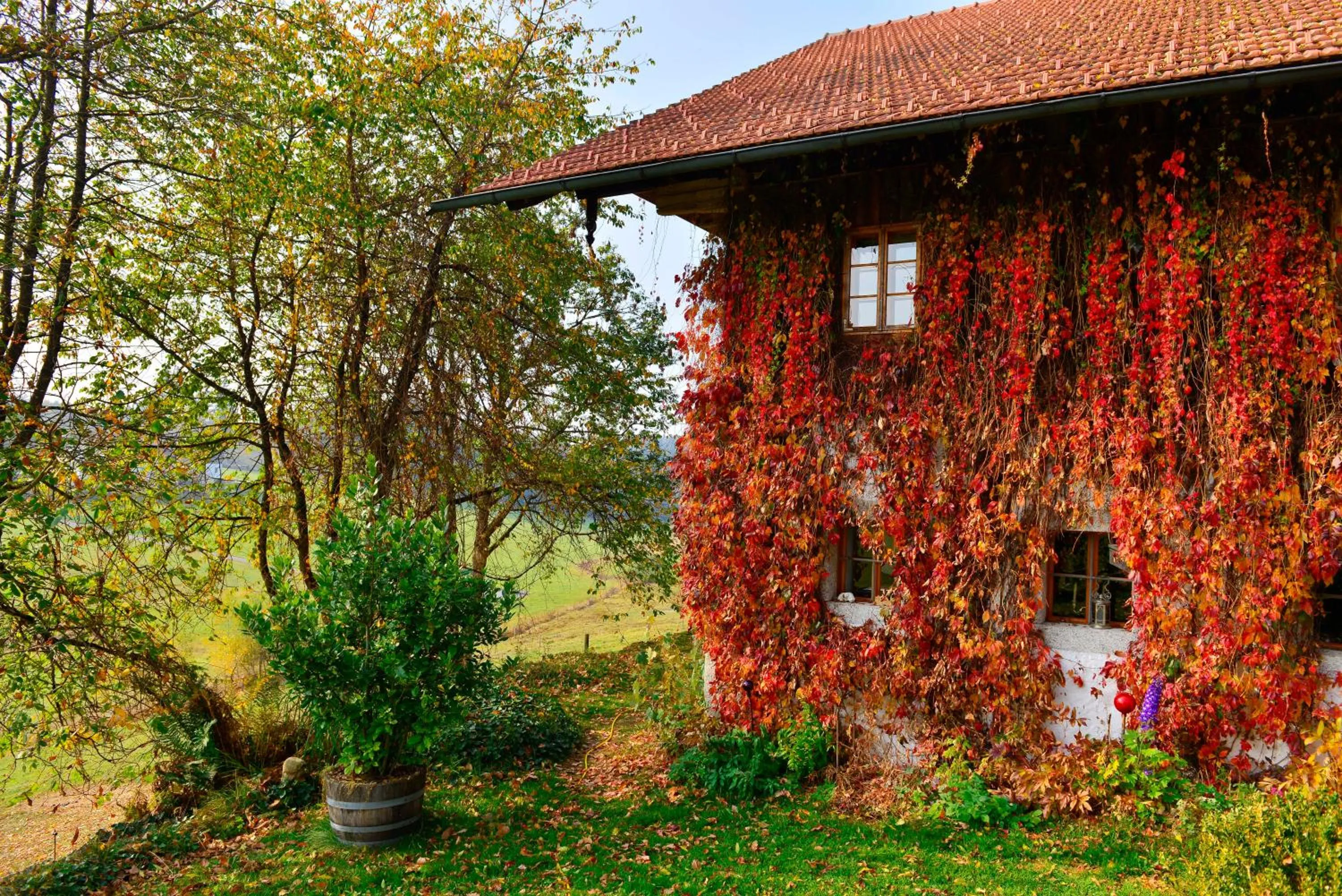 Property building in Hofatelier Menacher
