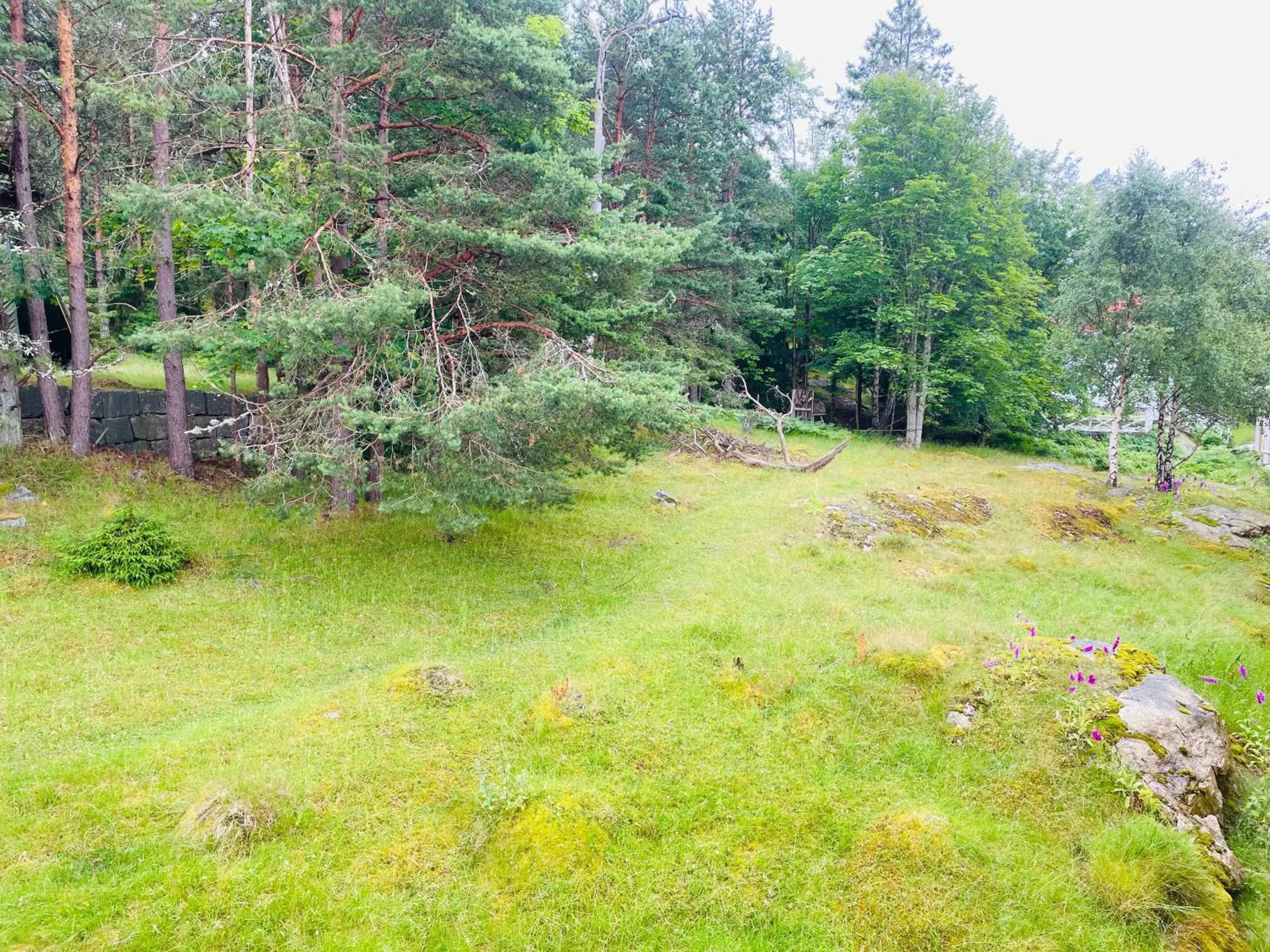 Economy Twin Room in Hankø Hotell & Spa Economy Twin Room in Hankø Hotell & Spa