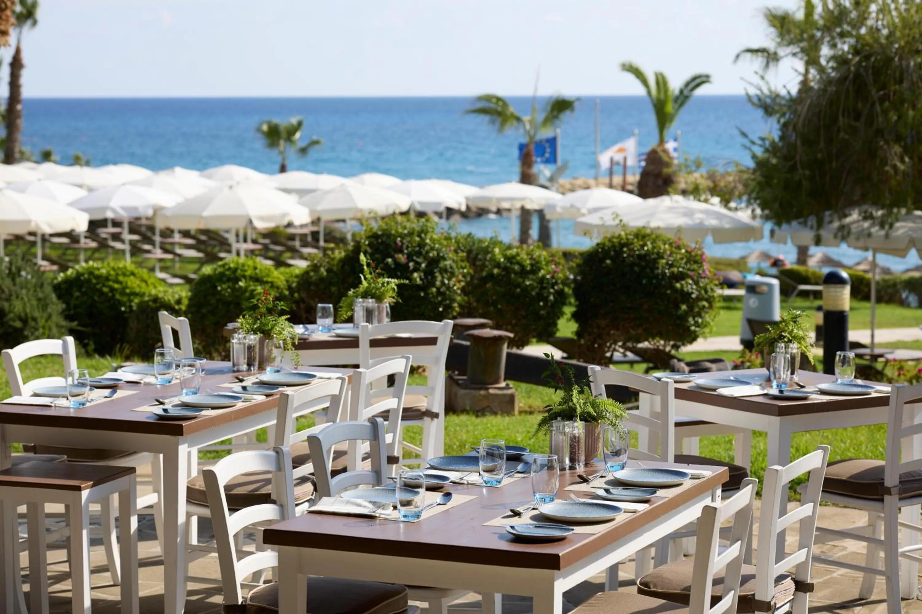 Restaurant/places to eat in Mediterranean Beach Hotel