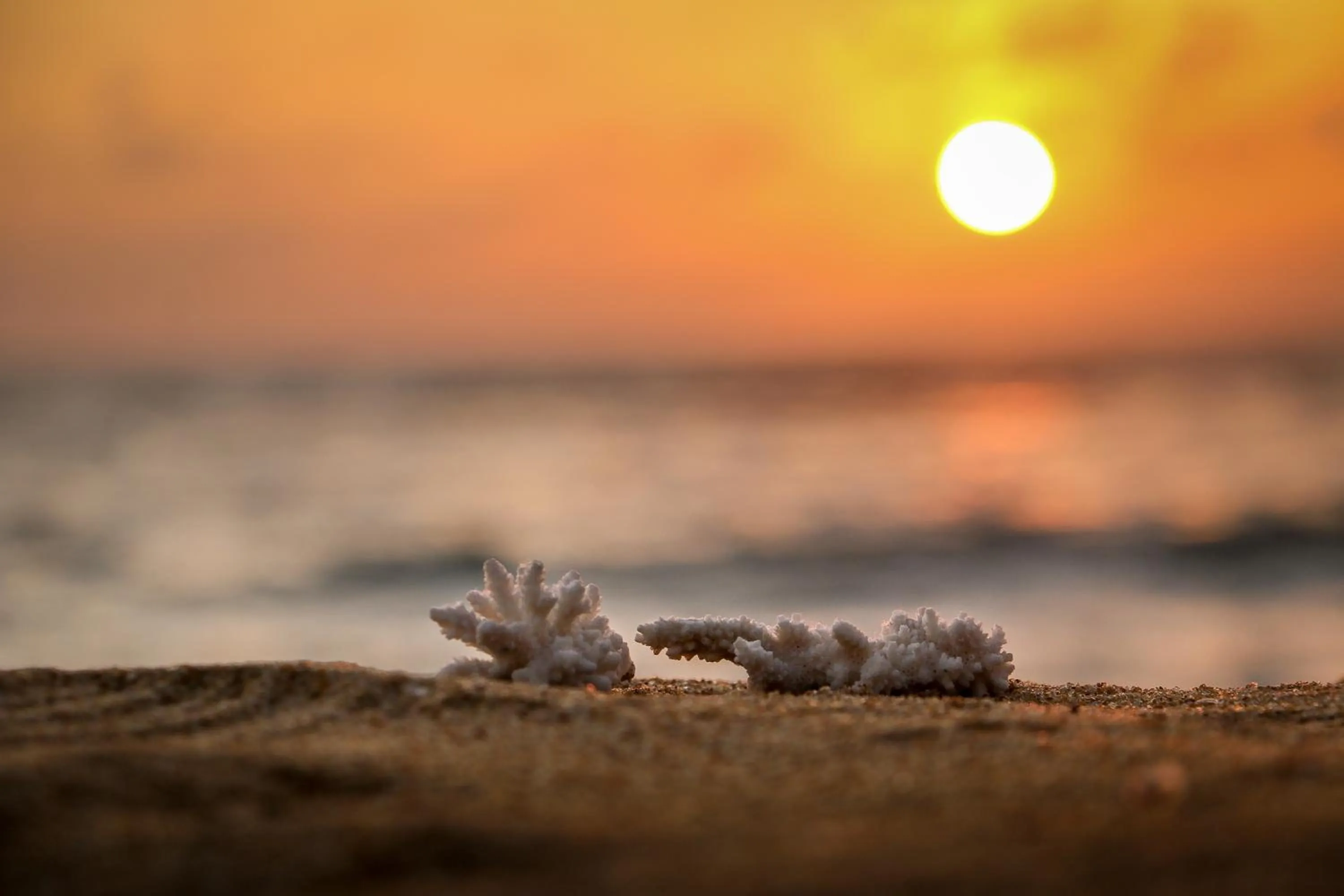 Natural landscape in Céu Ceylon